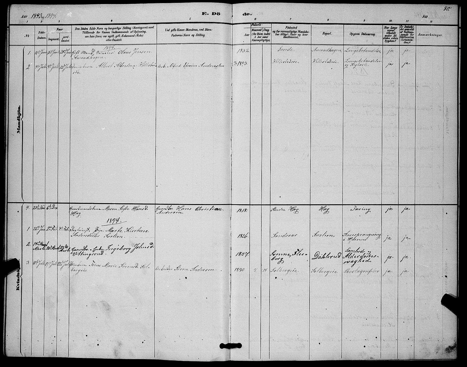 Botne kirkebøker, AV/SAKO-A-340/G/Gb/L0003: Parish register (copy) no. II 3, 1887-1899, p. 80