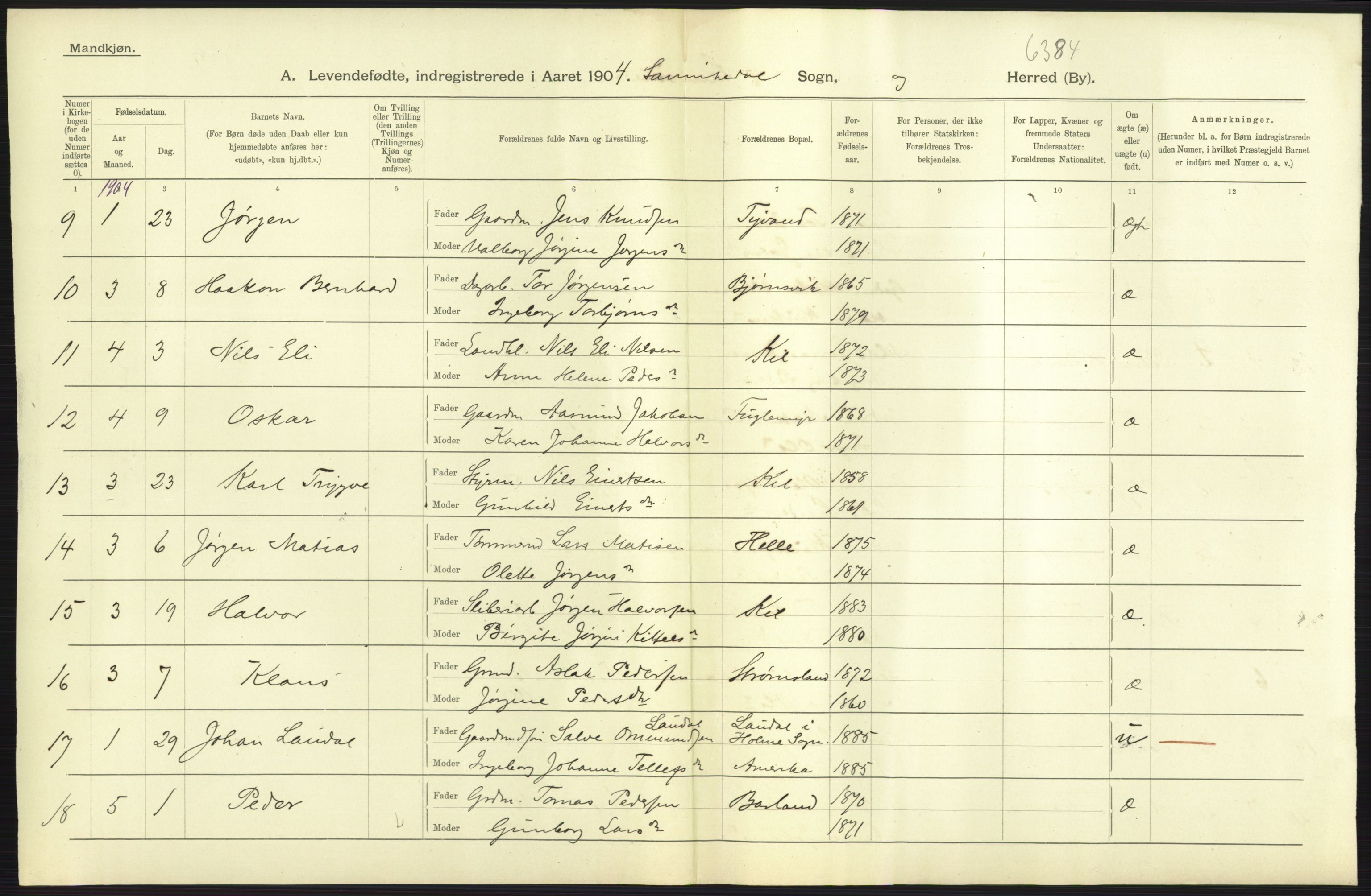 Statistisk sentralbyrå, Sosiodemografiske emner, Befolkning, AV/RA-S-2228/D/Df/Dfa/Dfab/L0009: Bratsberg amt: Fødte, gifte, døde, 1904, p. 25