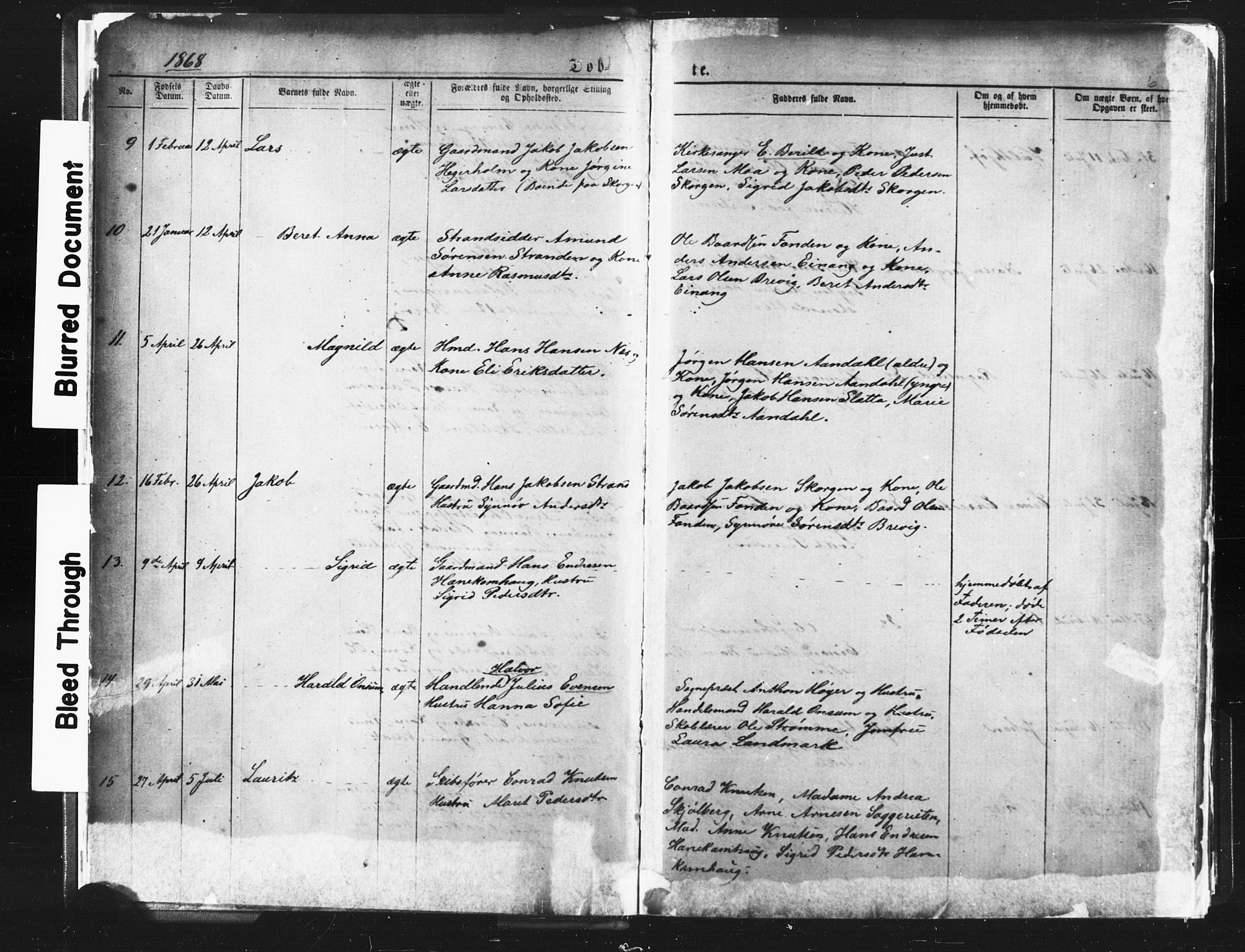 Ministerialprotokoller, klokkerbøker og fødselsregistre - Møre og Romsdal, AV/SAT-A-1454/544/L0580: Parish register (copy) no. 544C02, 1867-1909, p. 6