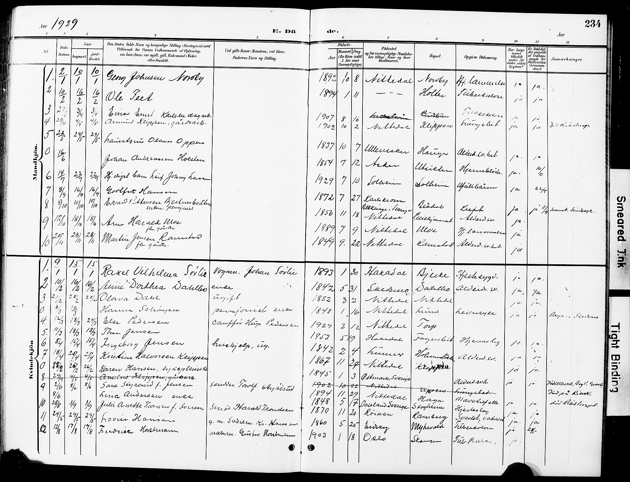 Nittedal prestekontor Kirkebøker, SAO/A-10365a/G/Ga/L0003: Parish register (copy) no. I 3, 1902-1929, p. 234