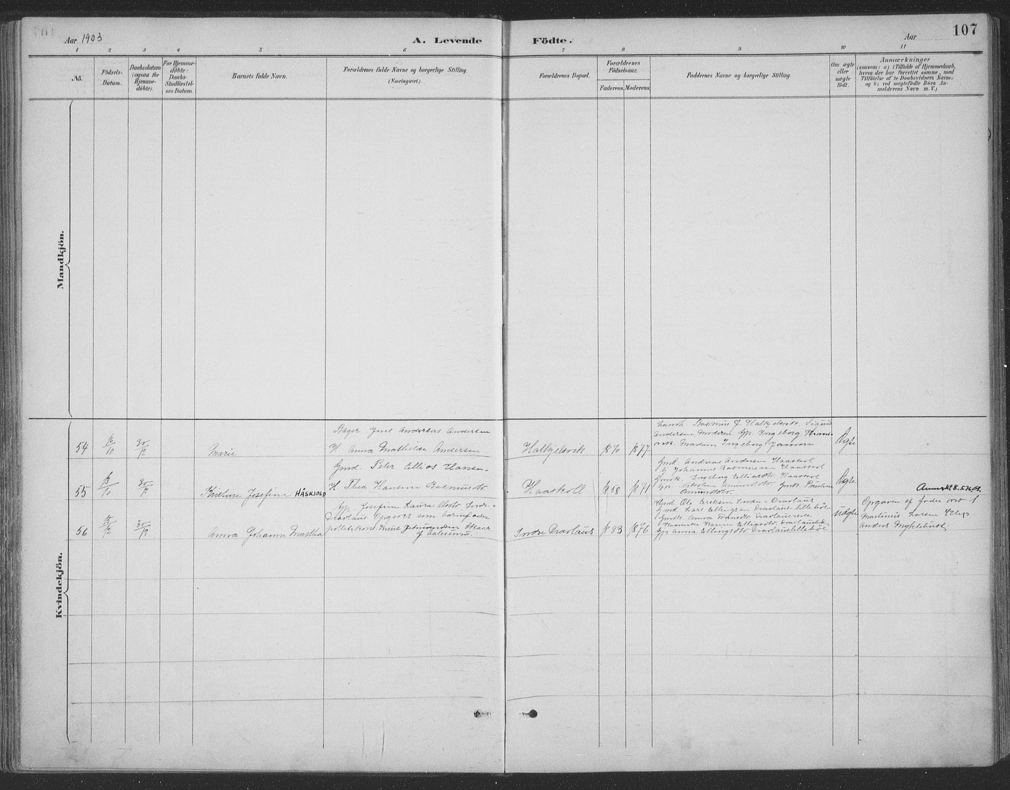 Ministerialprotokoller, klokkerbøker og fødselsregistre - Møre og Romsdal, AV/SAT-A-1454/511/L0142: Parish register (official) no. 511A09, 1891-1905, p. 107