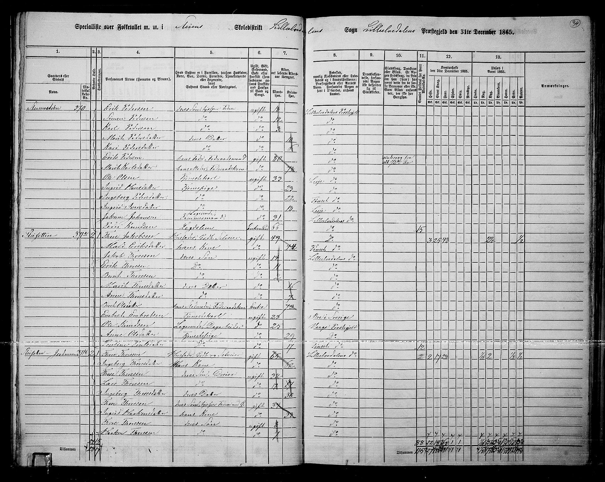 RA, 1865 census for Lille Elvedalen, 1865, p. 30