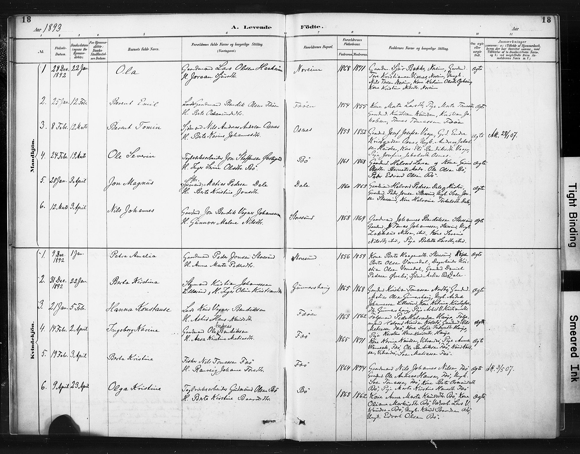 Torvastad sokneprestkontor, SAST/A -101857/H/Ha/Haa/L0015: Parish register (official) no. A 14, 1888-1899, p. 18