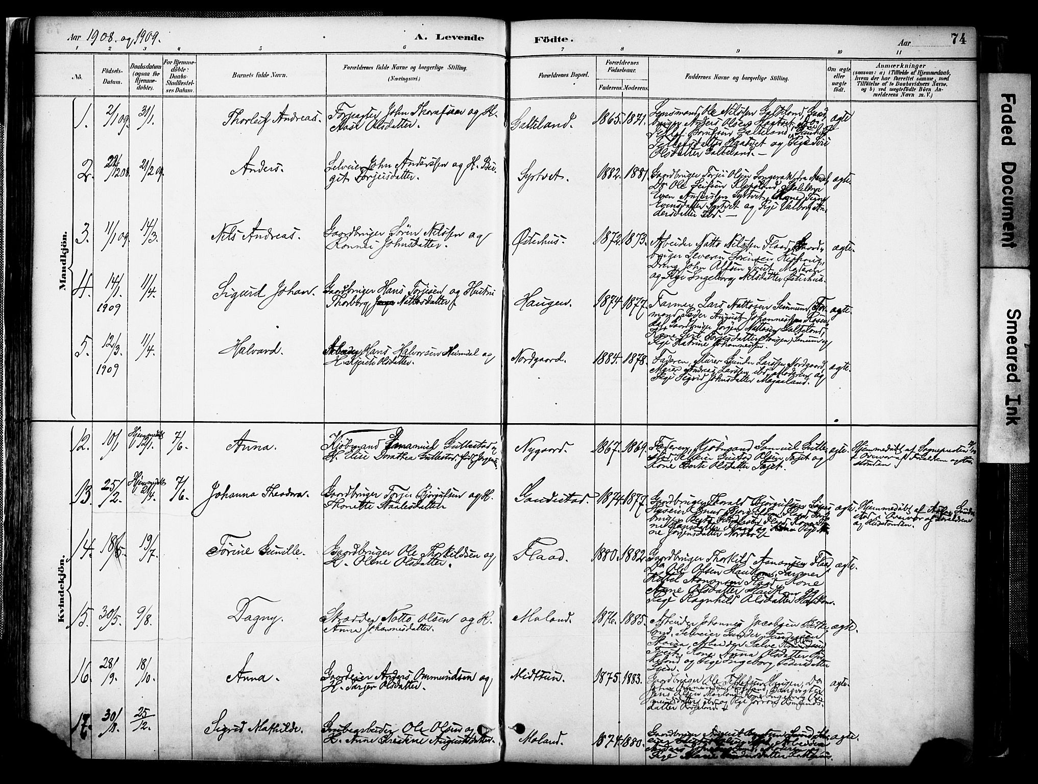 Evje sokneprestkontor, AV/SAK-1111-0008/F/Fa/Faa/L0007: Parish register (official) no. A 7, 1884-1909, p. 74