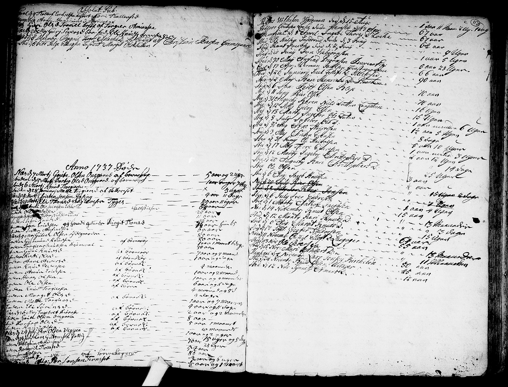 Nes kirkebøker, SAKO/A-236/F/Fa/L0002: Parish register (official) no. 2, 1707-1759, p. 113