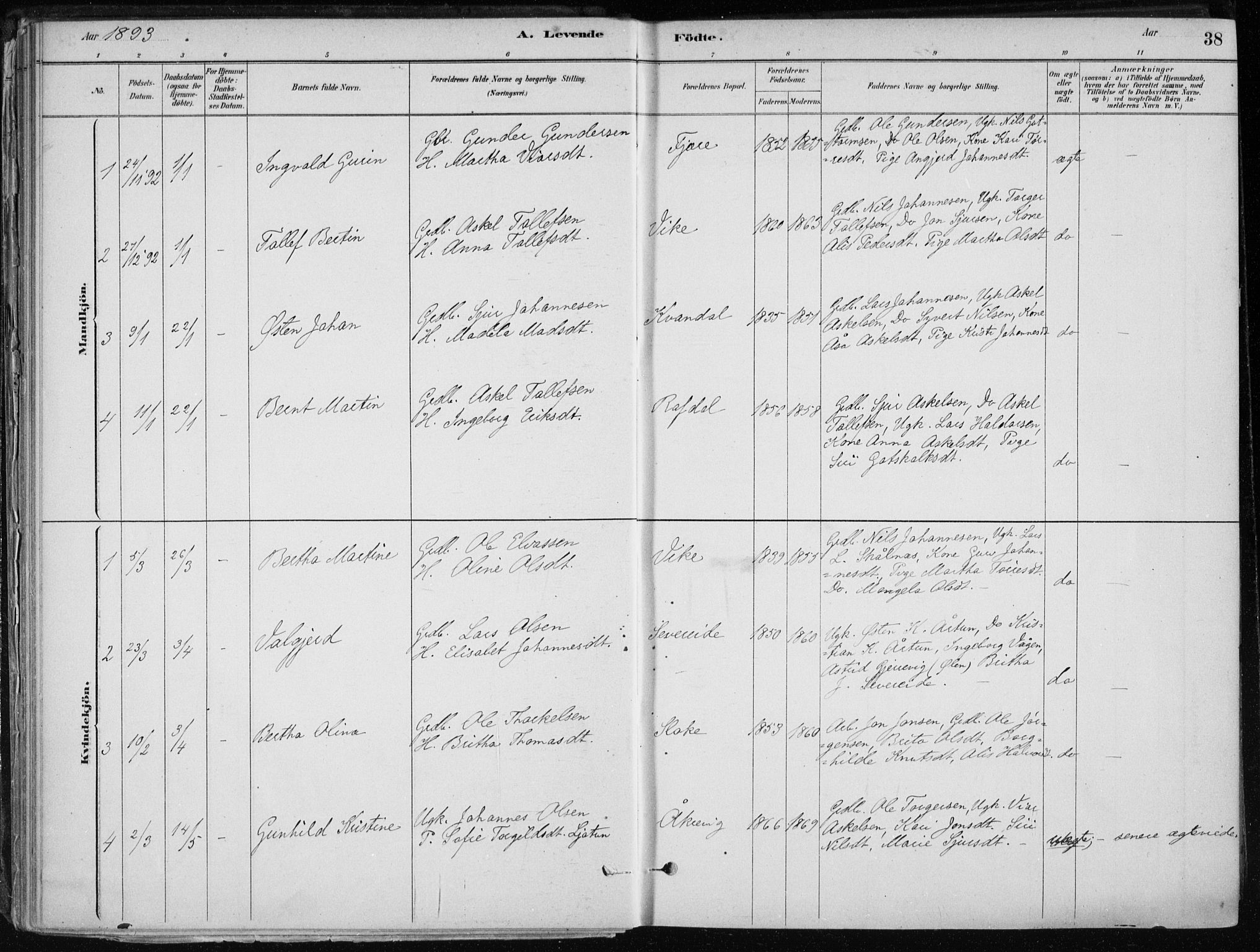 Skånevik sokneprestembete, SAB/A-77801/H/Haa: Parish register (official) no. E  1, 1879-1901, p. 38