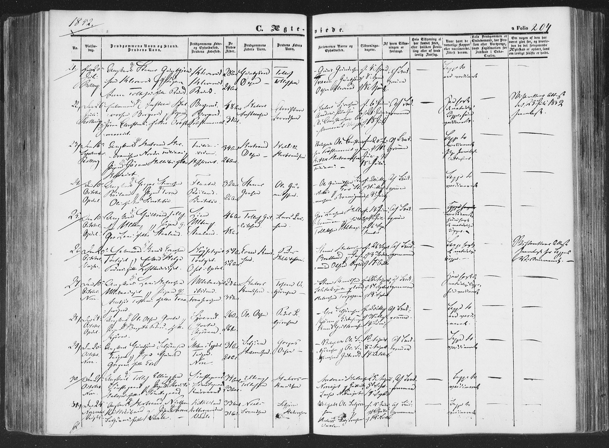 Rollag kirkebøker, SAKO/A-240/F/Fa/L0008: Parish register (official) no. I 8, 1847-1860, p. 204