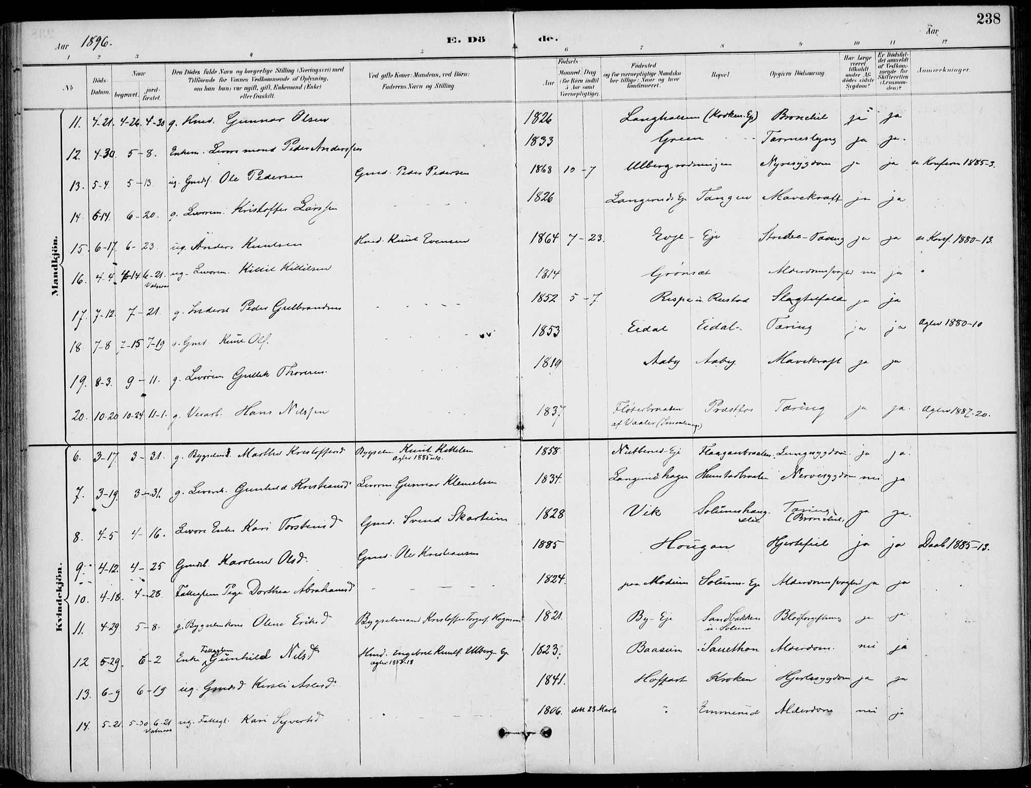 Sigdal kirkebøker, AV/SAKO-A-245/F/Fb/L0001: Parish register (official) no. II 1, 1888-1900, p. 238