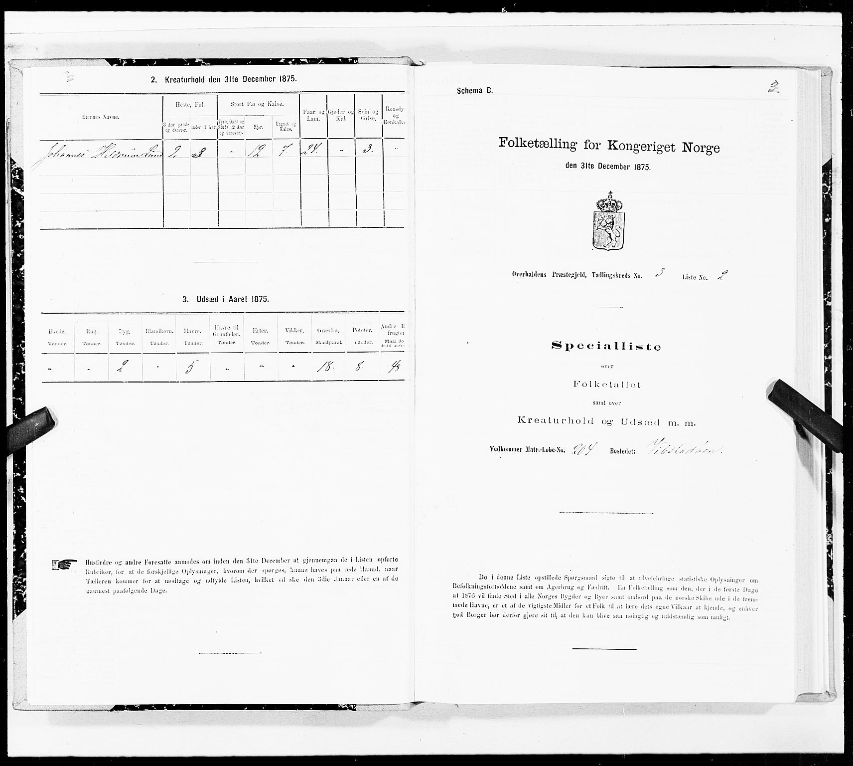 SAT, 1875 census for 1744P Overhalla, 1875, p. 2003