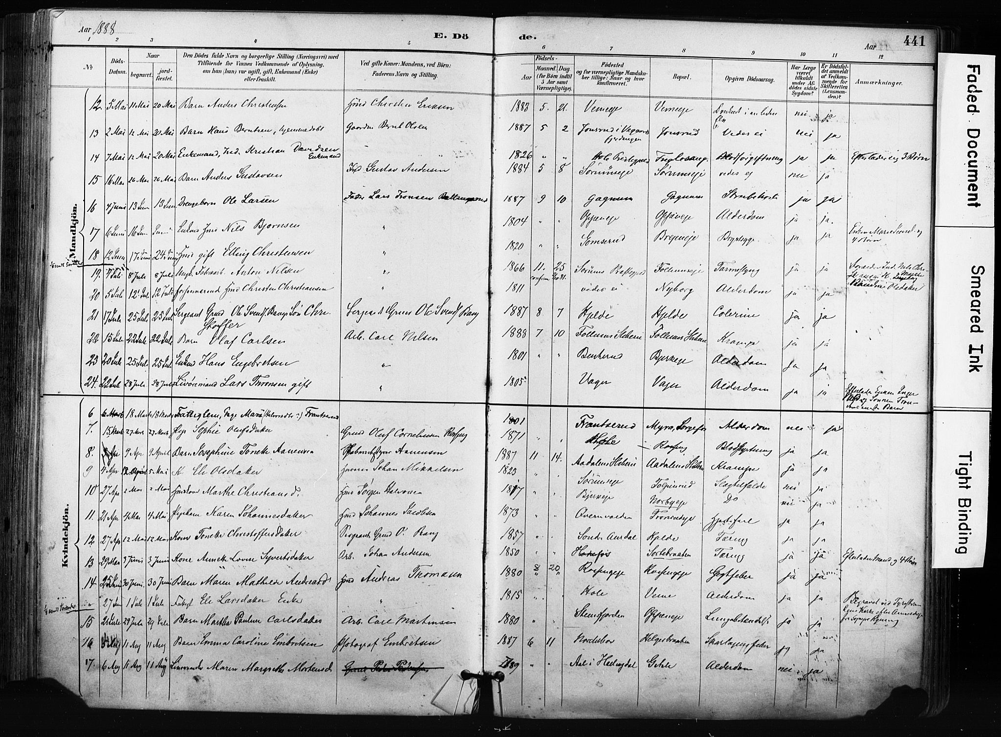 Norderhov kirkebøker, AV/SAKO-A-237/F/Fa/L0016: Parish register (official) no. 16, 1885-1902, p. 441