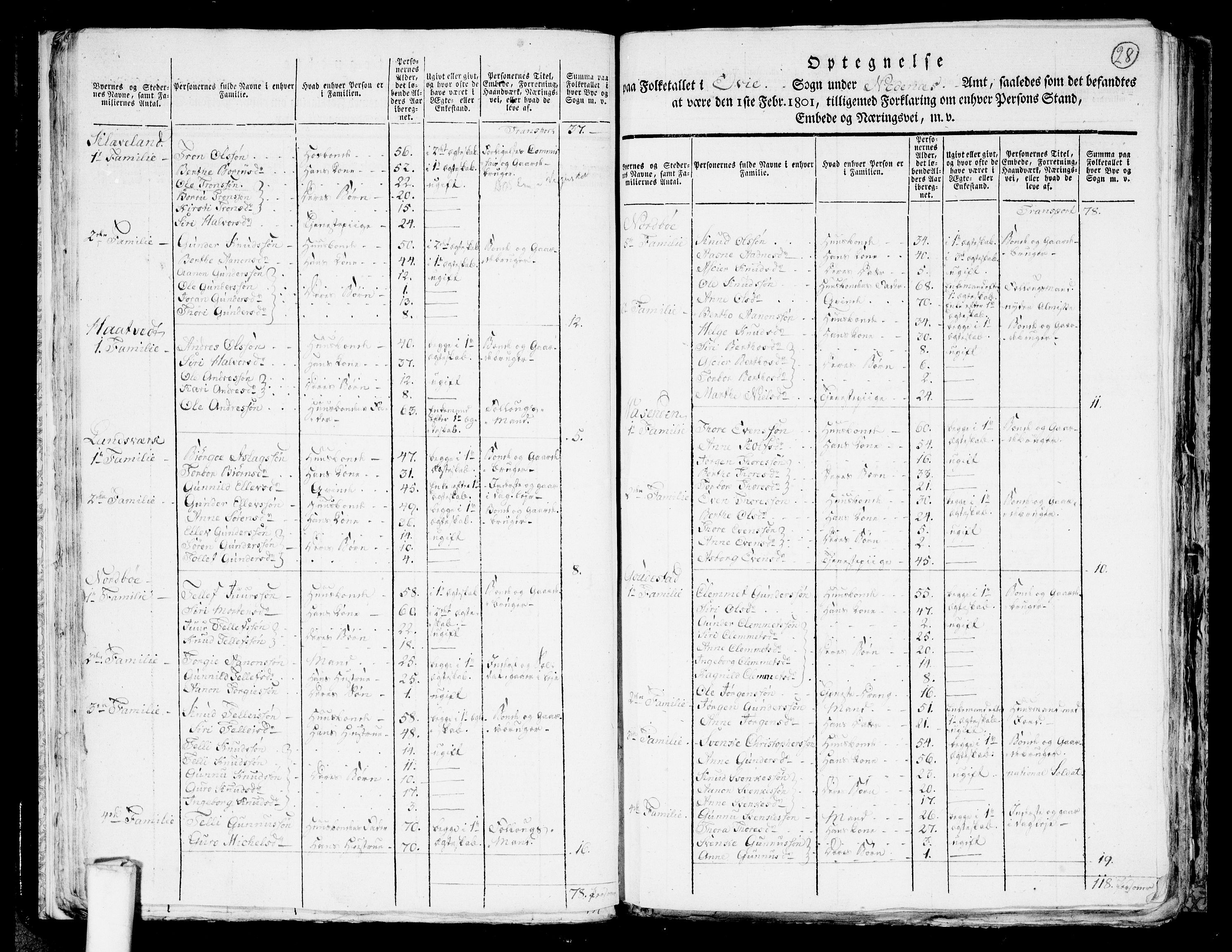 RA, 1801 census for 0934P Evje, 1801, p. 27b-28a