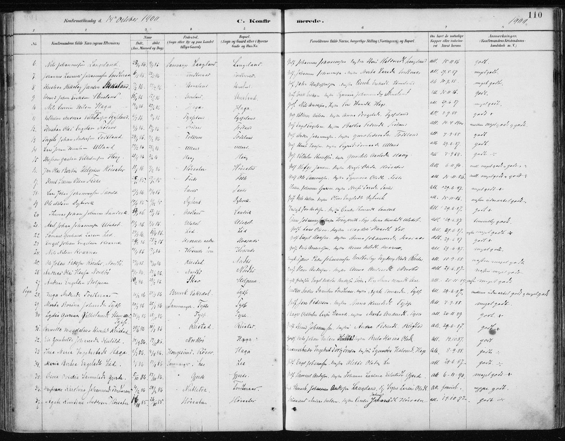 Samnanger Sokneprestembete, AV/SAB-A-77501/H/Haa: Parish register (official) no. A 1, 1885-1901, p. 110