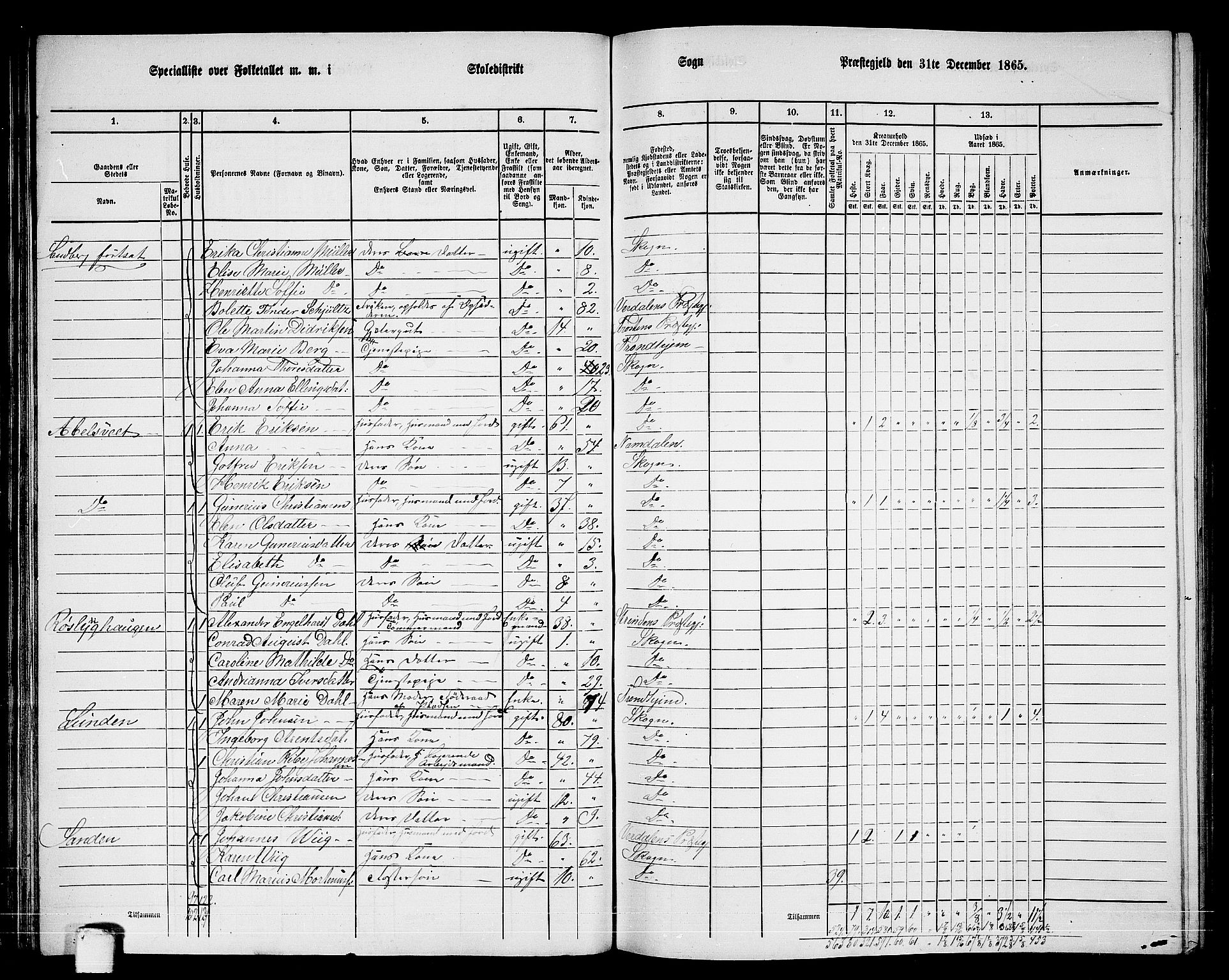 RA, 1865 census for Skogn, 1865, p. 69