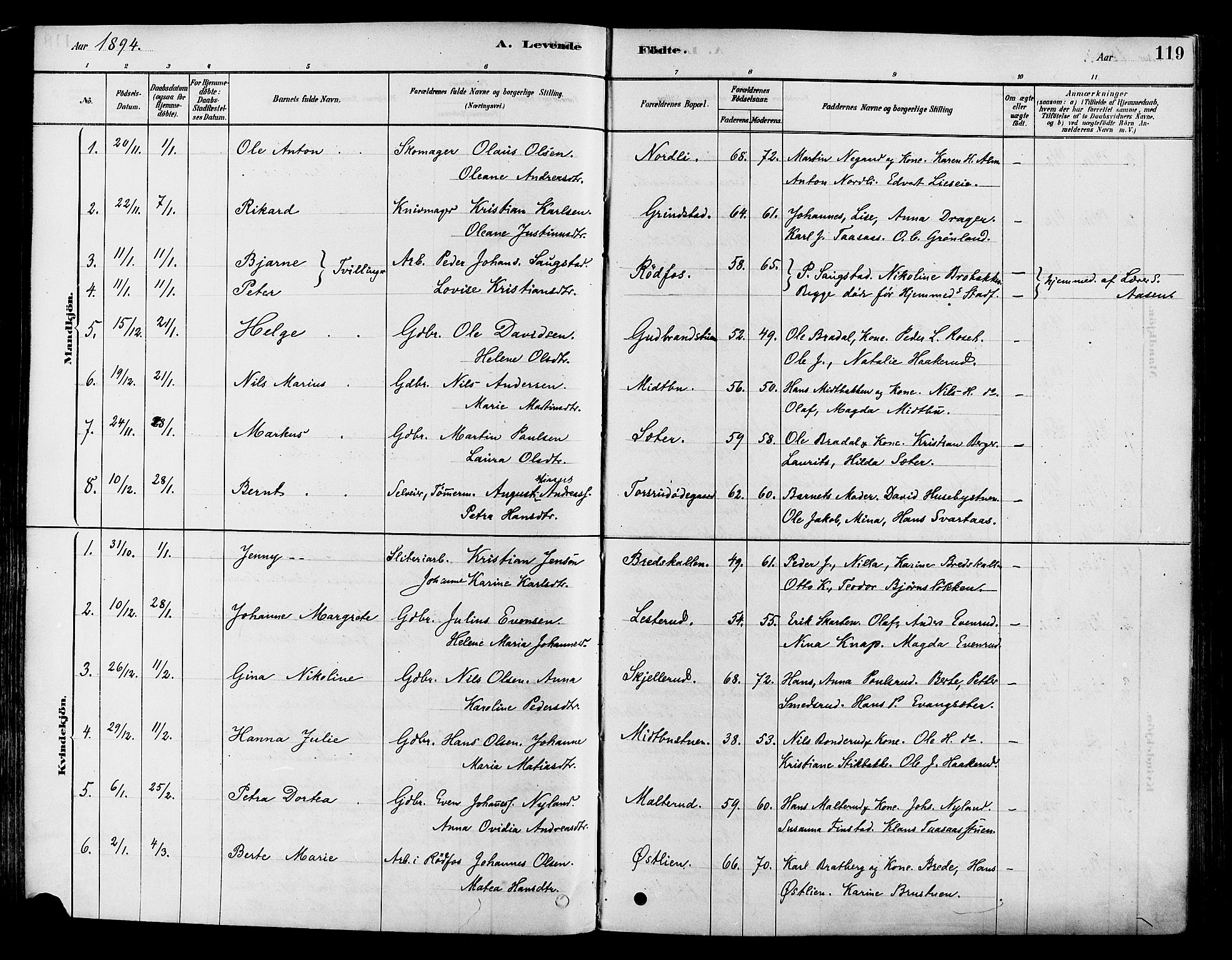 Vestre Toten prestekontor, SAH/PREST-108/H/Ha/Haa/L0009: Parish register (official) no. 9, 1878-1894, p. 119