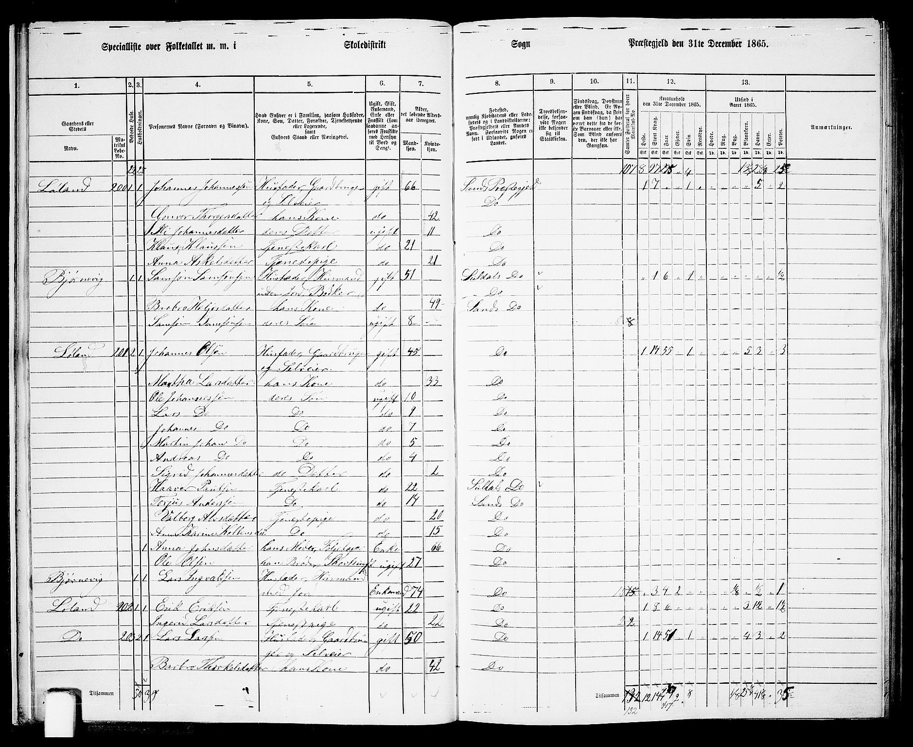 RA, 1865 census for Sand, 1865, p. 15