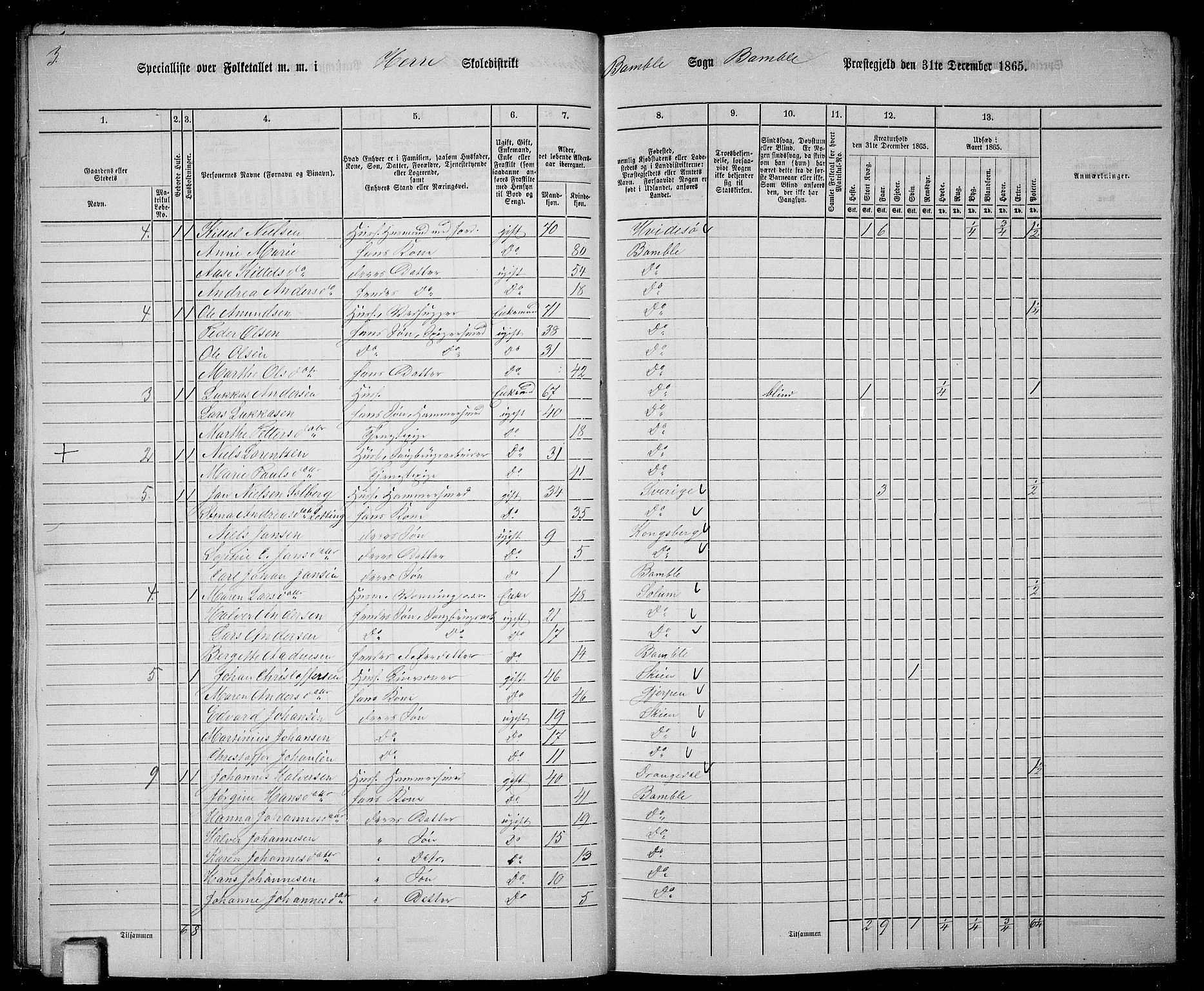 RA, 1865 census for Bamble, 1865, p. 29