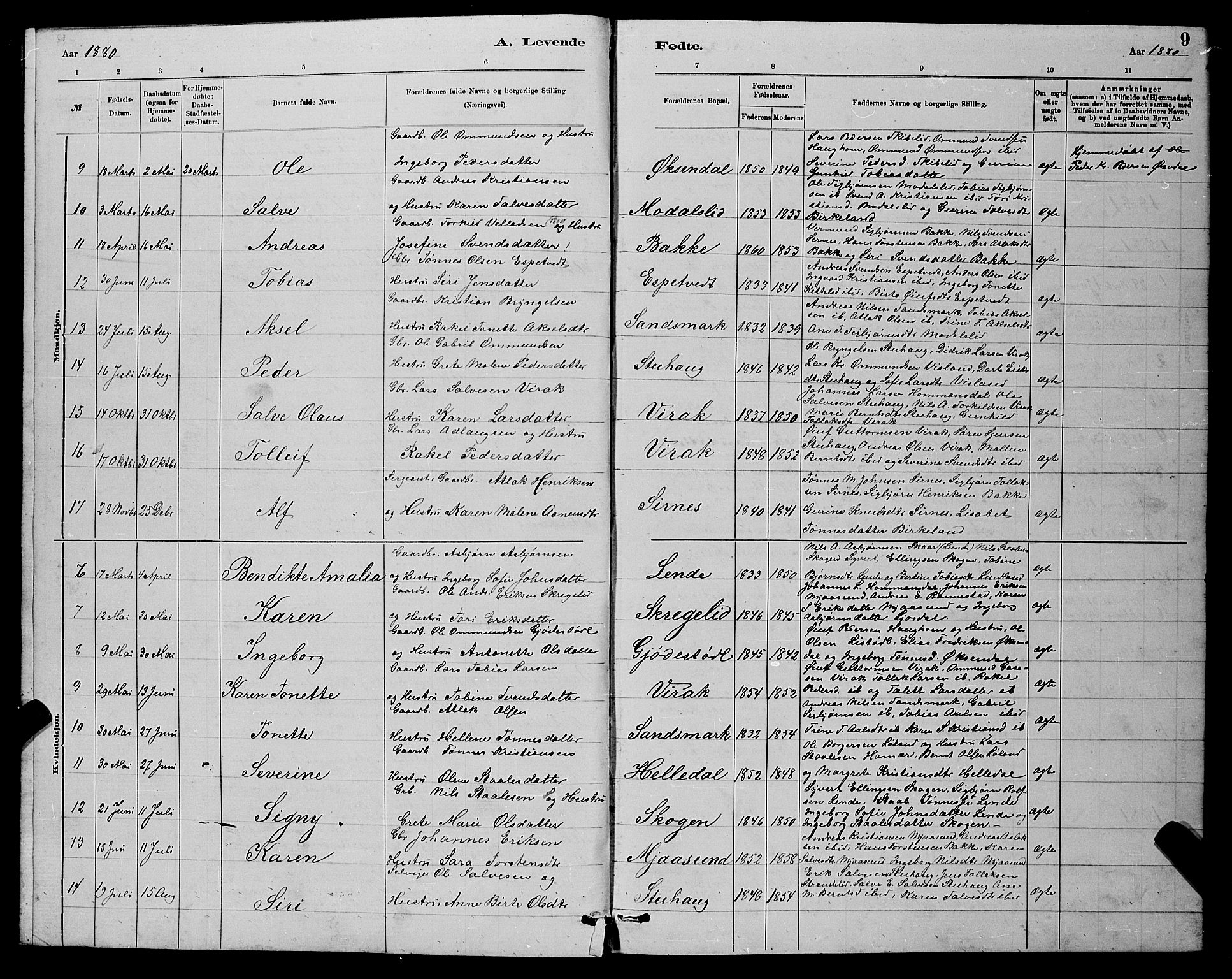 Bakke sokneprestkontor, SAK/1111-0002/F/Fb/Fba/L0002: Parish register (copy) no. B 2, 1879-1893, p. 9