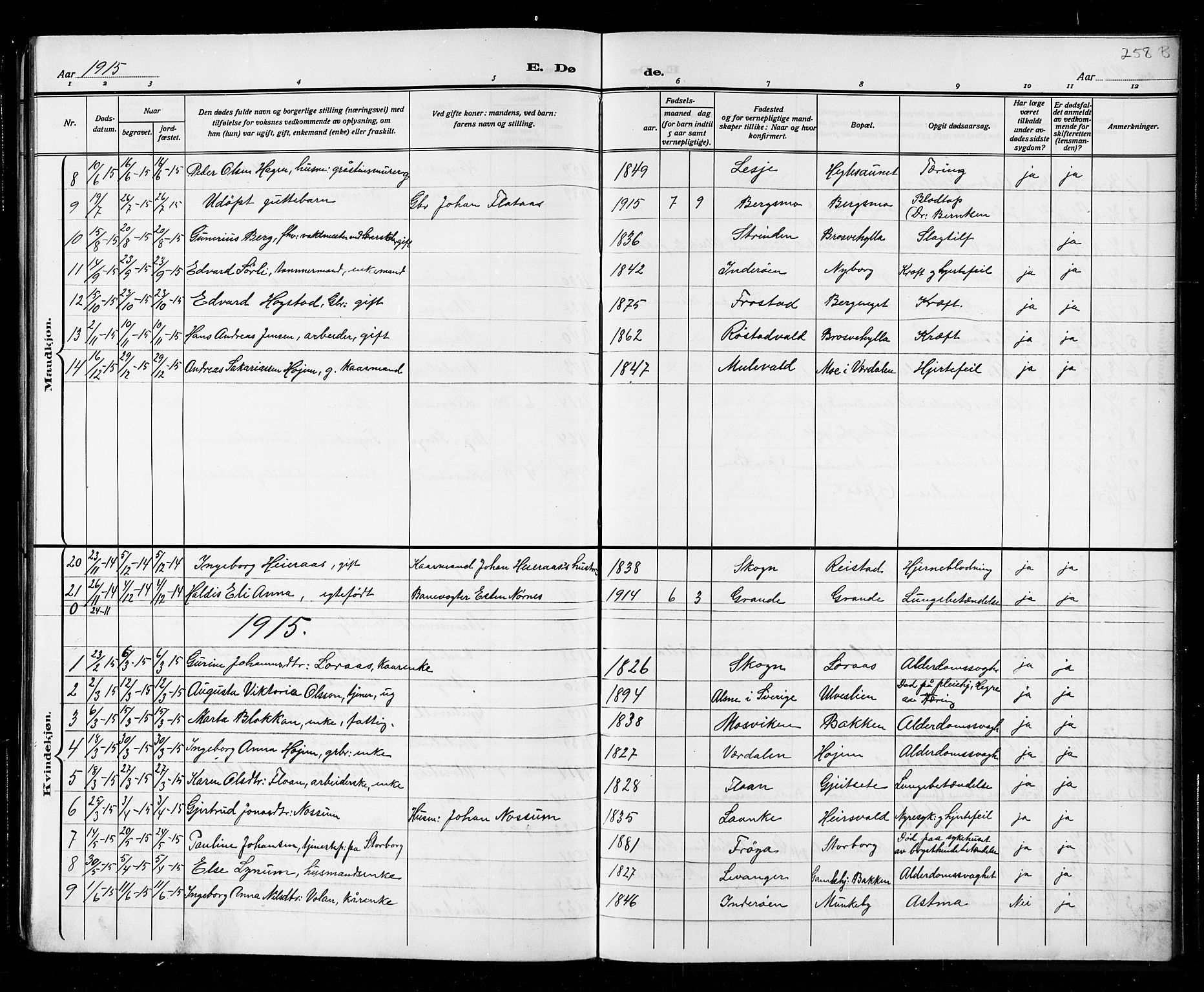 Ministerialprotokoller, klokkerbøker og fødselsregistre - Nord-Trøndelag, SAT/A-1458/721/L0208: Parish register (copy) no. 721C01, 1880-1917, p. 252g