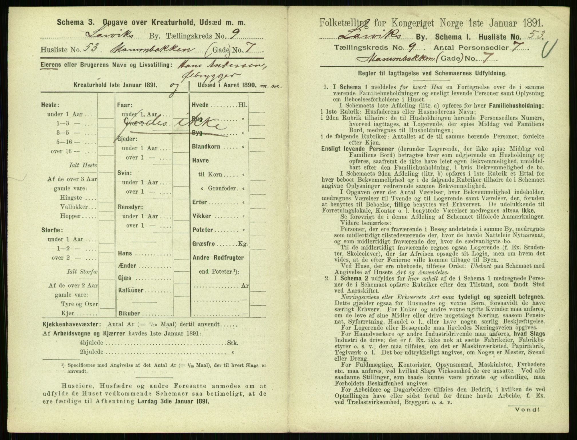 RA, 1891 census for 0707 Larvik, 1891, p. 1225