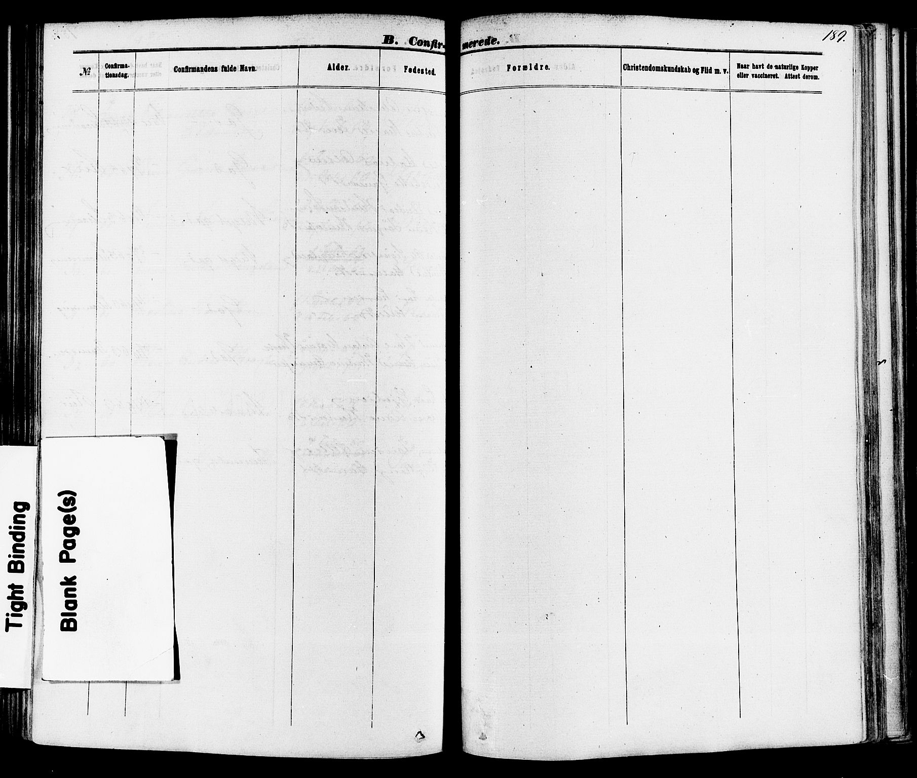 Skien kirkebøker, SAKO/A-302/F/Fa/L0008: Parish register (official) no. 8, 1866-1877, p. 189
