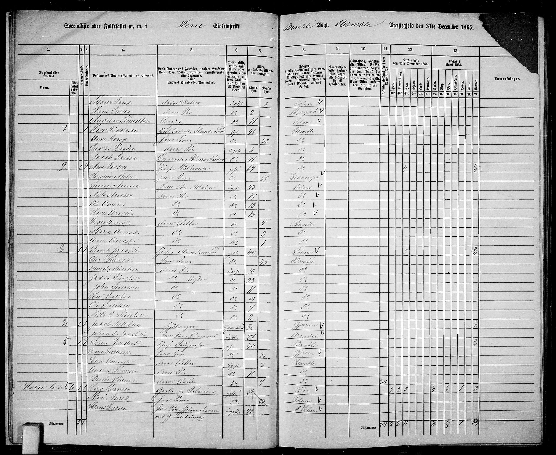 RA, 1865 census for Bamble, 1865, p. 21