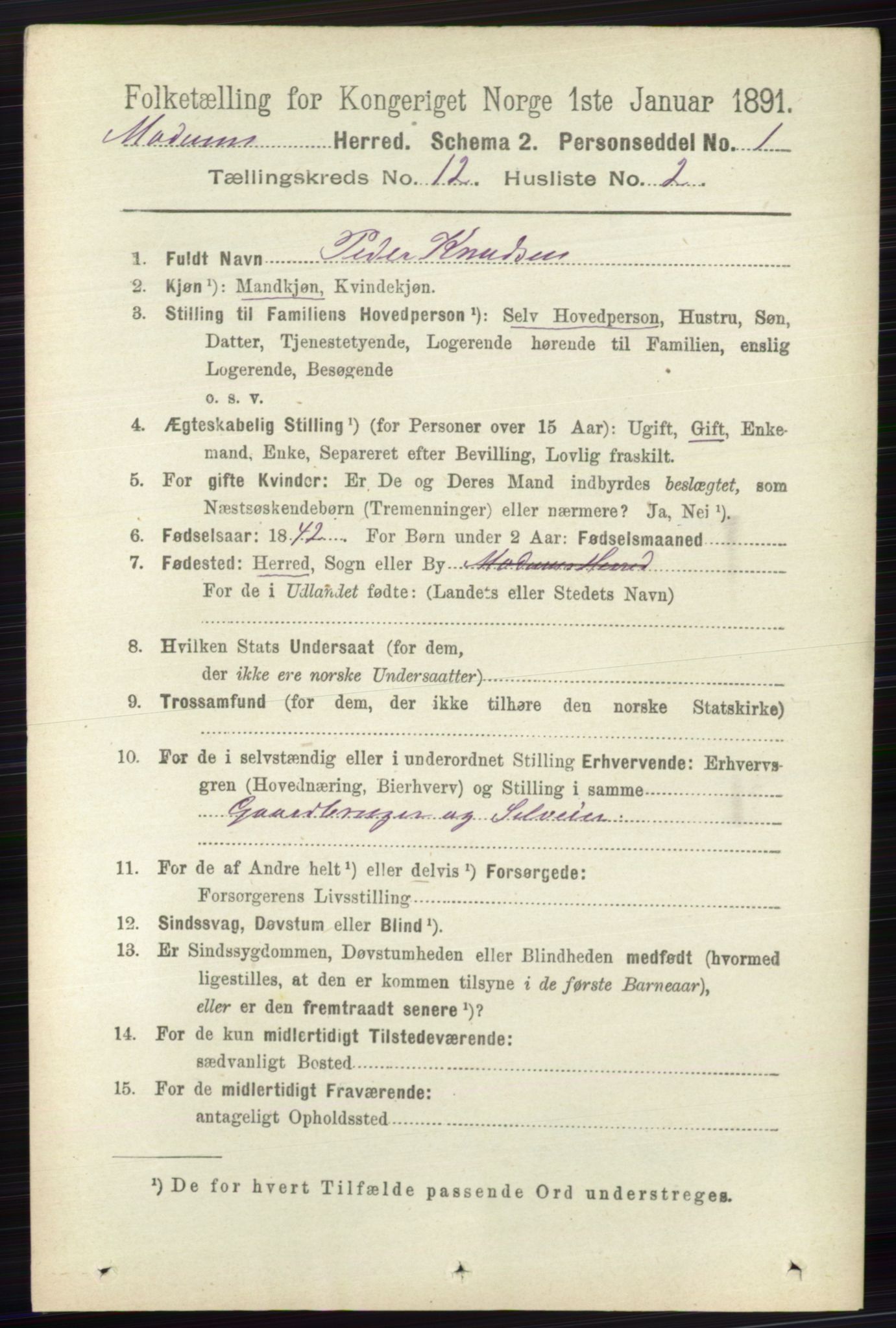 RA, 1891 census for 0623 Modum, 1891, p. 4463