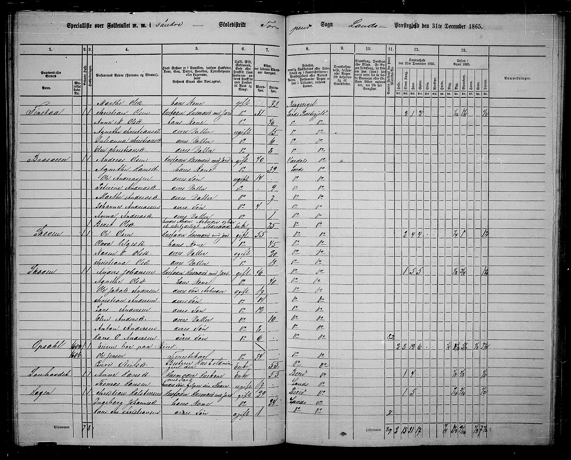 RA, 1865 census for Land, 1865, p. 120