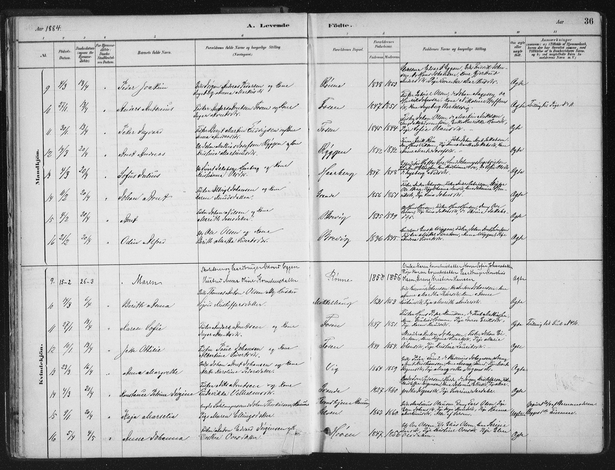 Ministerialprotokoller, klokkerbøker og fødselsregistre - Sør-Trøndelag, SAT/A-1456/659/L0739: Parish register (official) no. 659A09, 1879-1893, p. 36