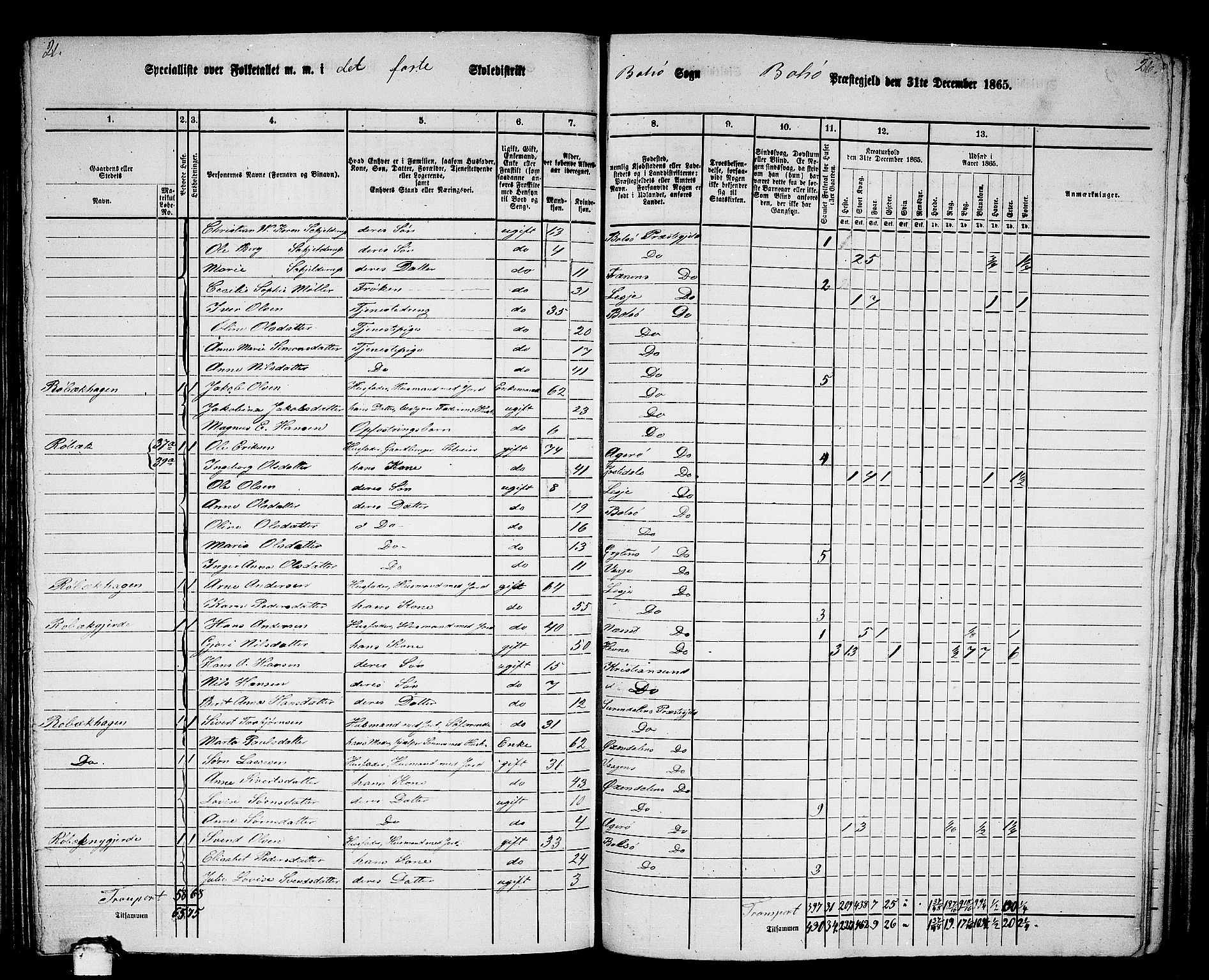 RA, 1865 census for Bolsøy, 1865, p. 43