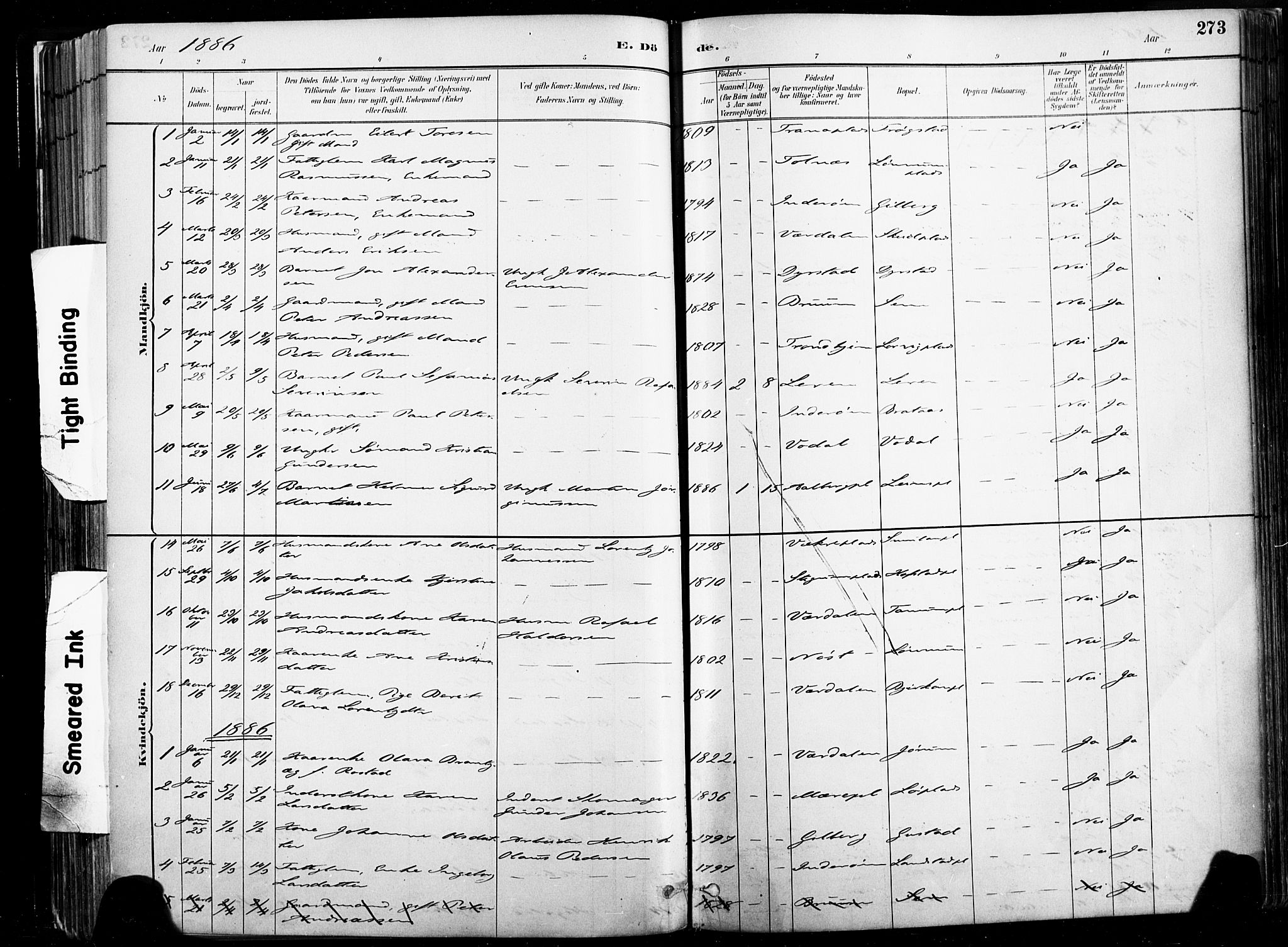 Ministerialprotokoller, klokkerbøker og fødselsregistre - Nord-Trøndelag, SAT/A-1458/735/L0351: Parish register (official) no. 735A10, 1884-1908, p. 273