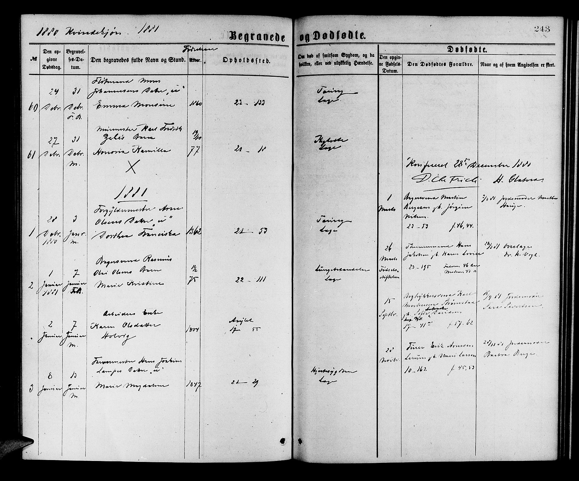 Korskirken sokneprestembete, SAB/A-76101/H/Hab: Parish register (copy) no. E 3, 1871-1883, p. 243