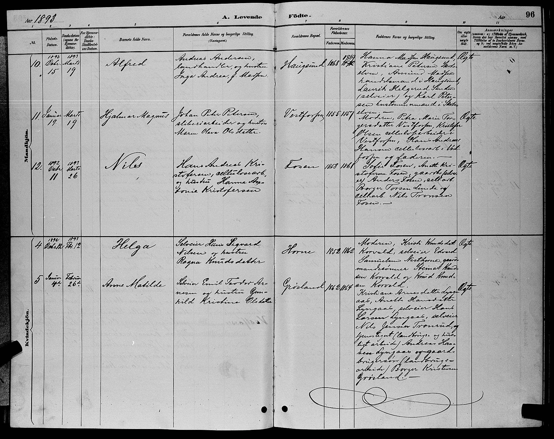 Eiker kirkebøker, AV/SAKO-A-4/G/Ga/L0006: Parish register (copy) no. I 6, 1885-1893, p. 96