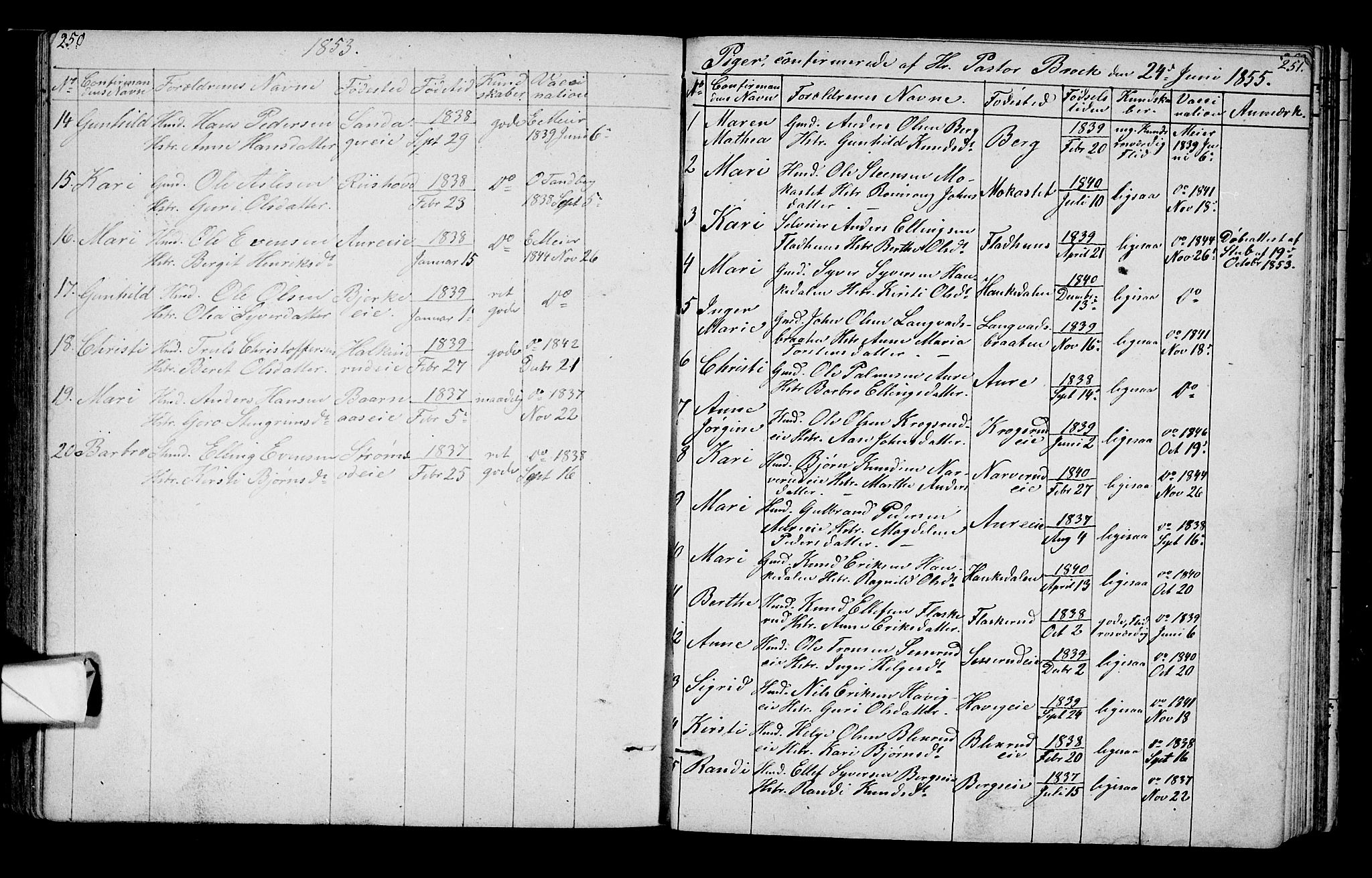 Lunder kirkebøker, SAKO/A-629/G/Ga/L0002: Parish register (copy) no. I 2, 1849-1868, p. 250-251