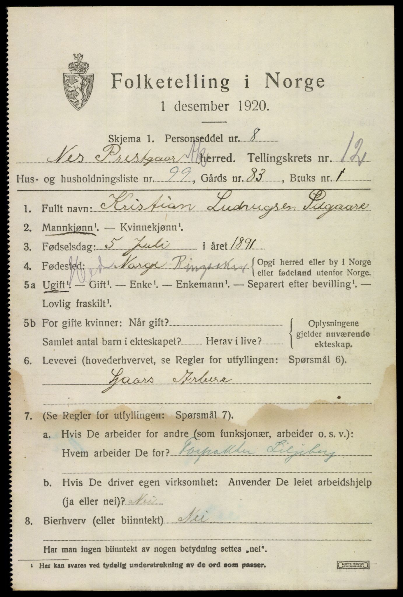 SAO, 1920 census for Nes, 1920, p. 13420