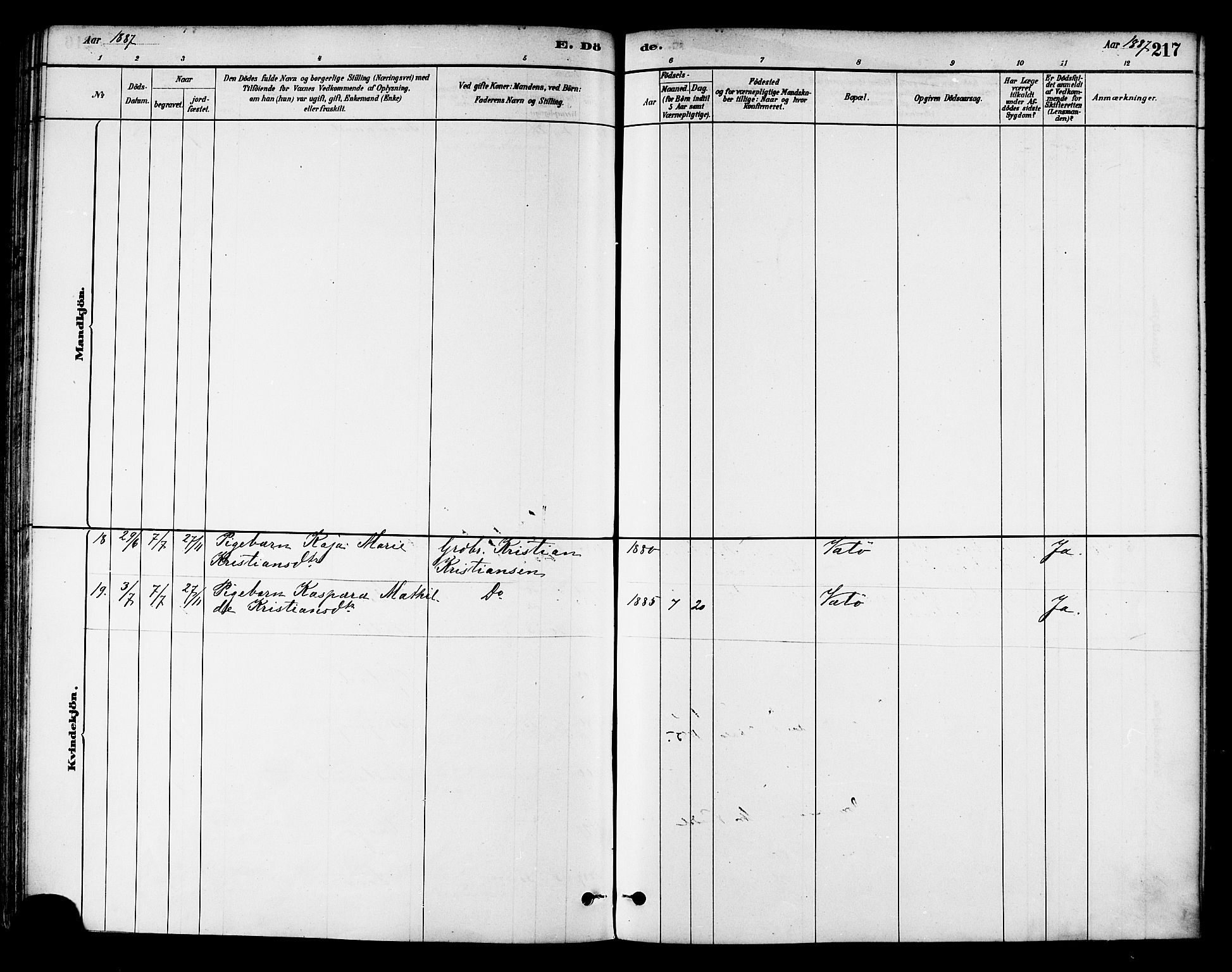 Ministerialprotokoller, klokkerbøker og fødselsregistre - Nord-Trøndelag, SAT/A-1458/786/L0686: Parish register (official) no. 786A02, 1880-1887, p. 217