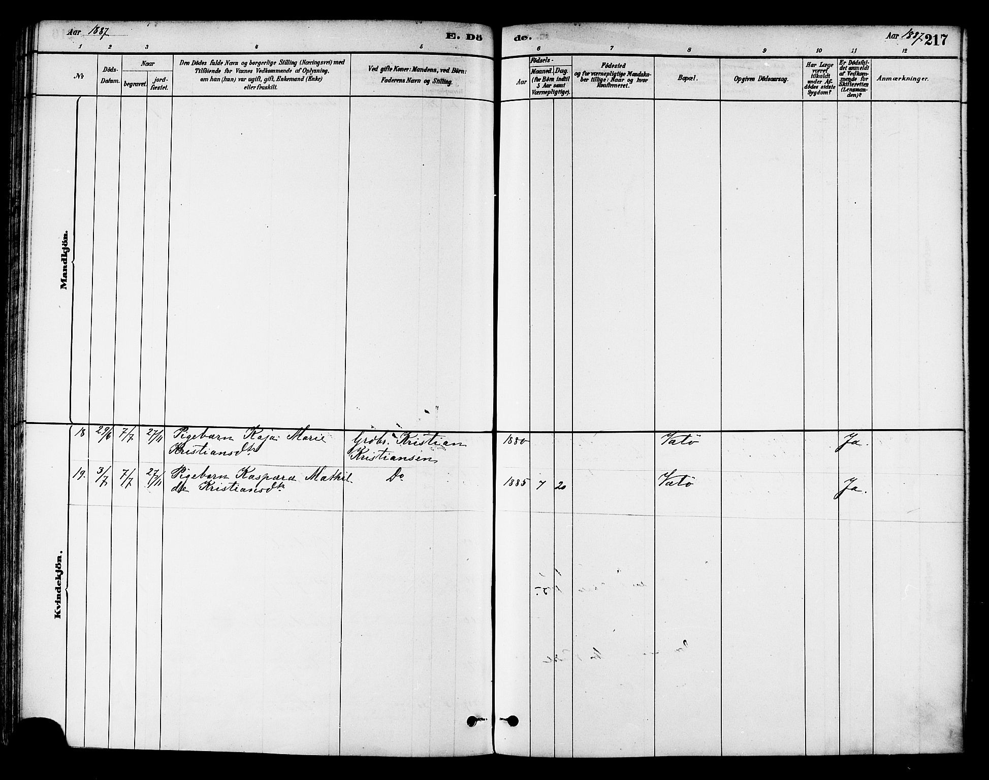 Ministerialprotokoller, klokkerbøker og fødselsregistre - Nord-Trøndelag, AV/SAT-A-1458/786/L0686: Parish register (official) no. 786A02, 1880-1887, p. 217