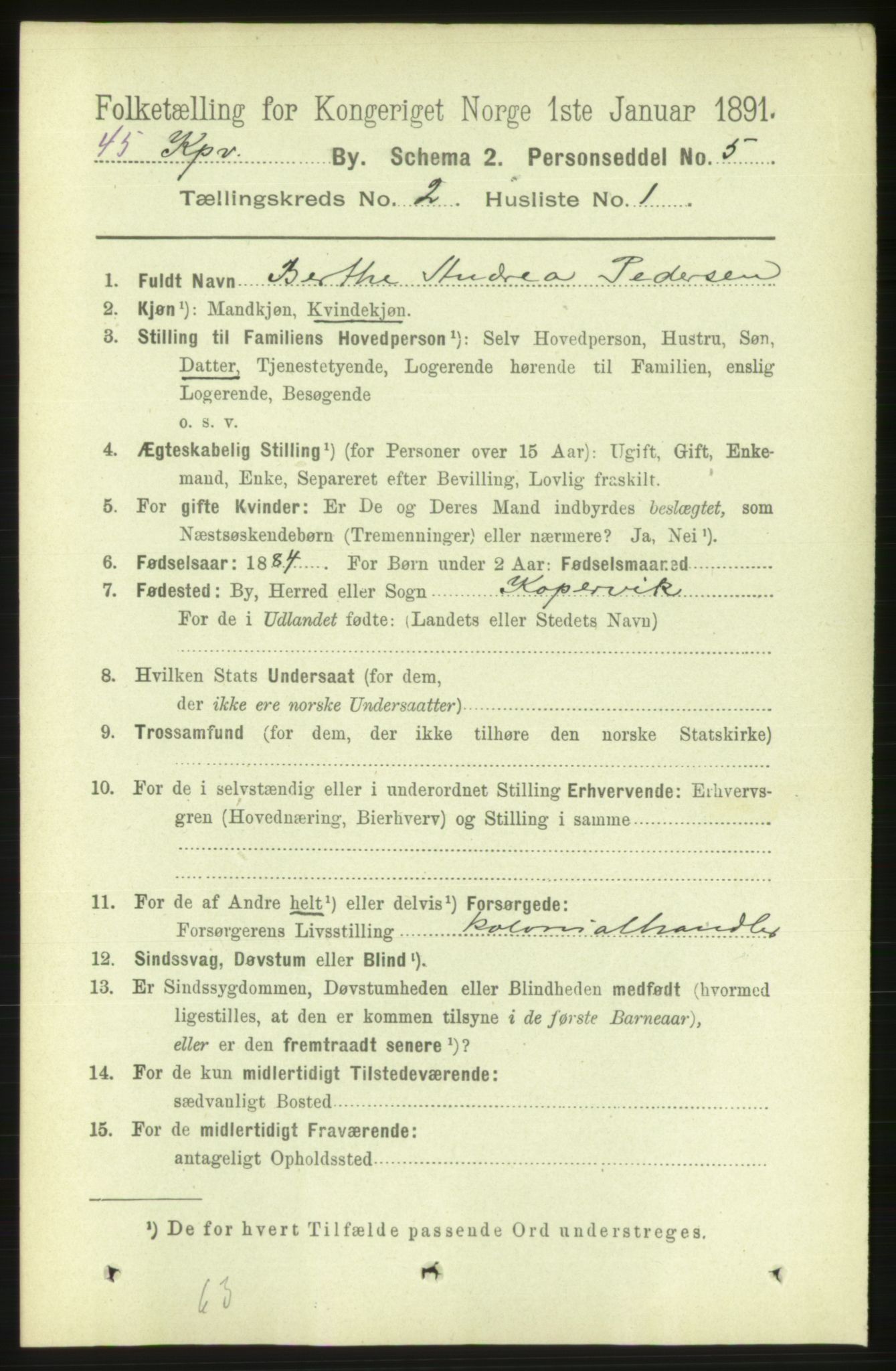 RA, 1891 census for 1105 Kopervik, 1891, p. 120