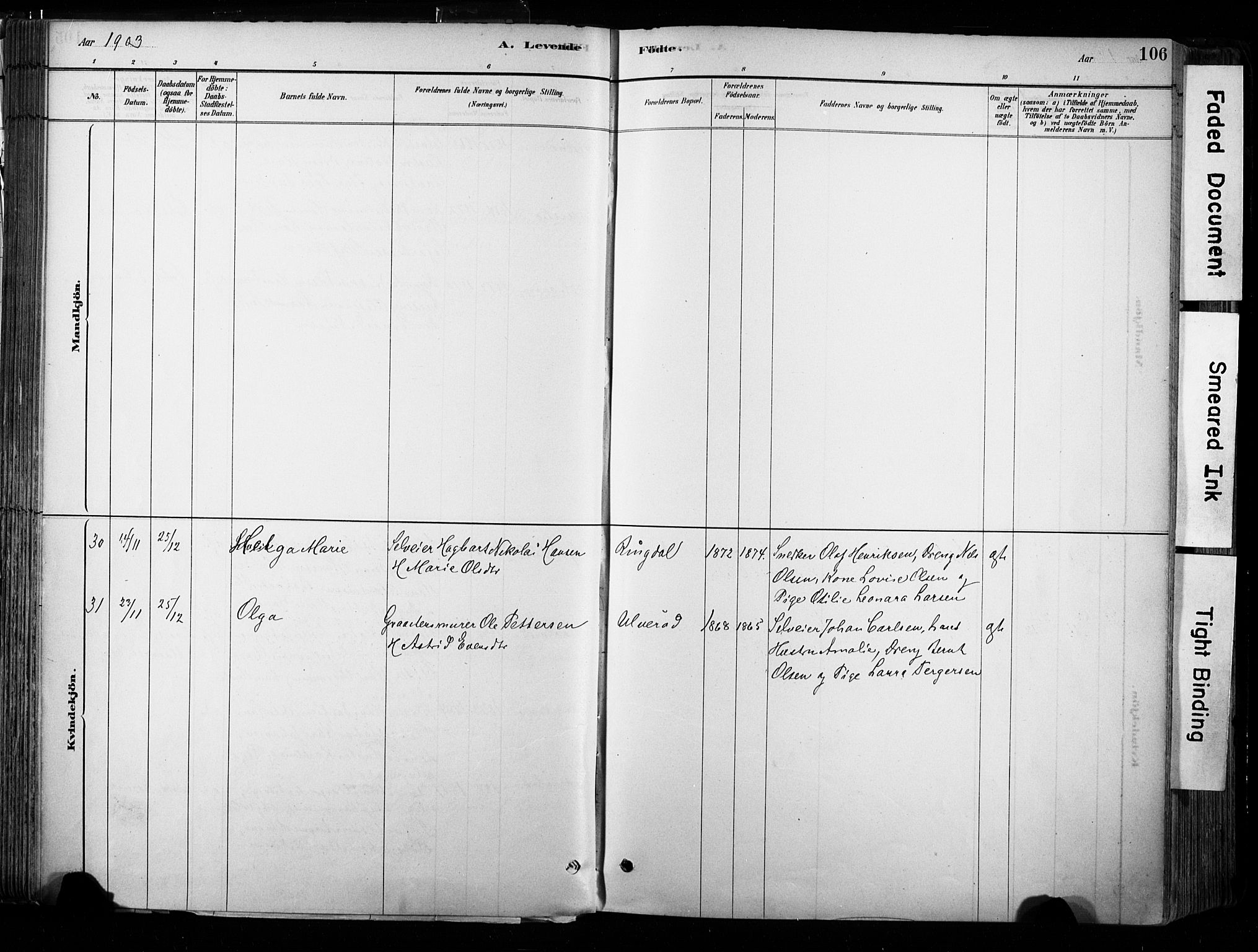 Hedrum kirkebøker, AV/SAKO-A-344/F/Fa/L0009: Parish register (official) no. I 9, 1881-1903, p. 106