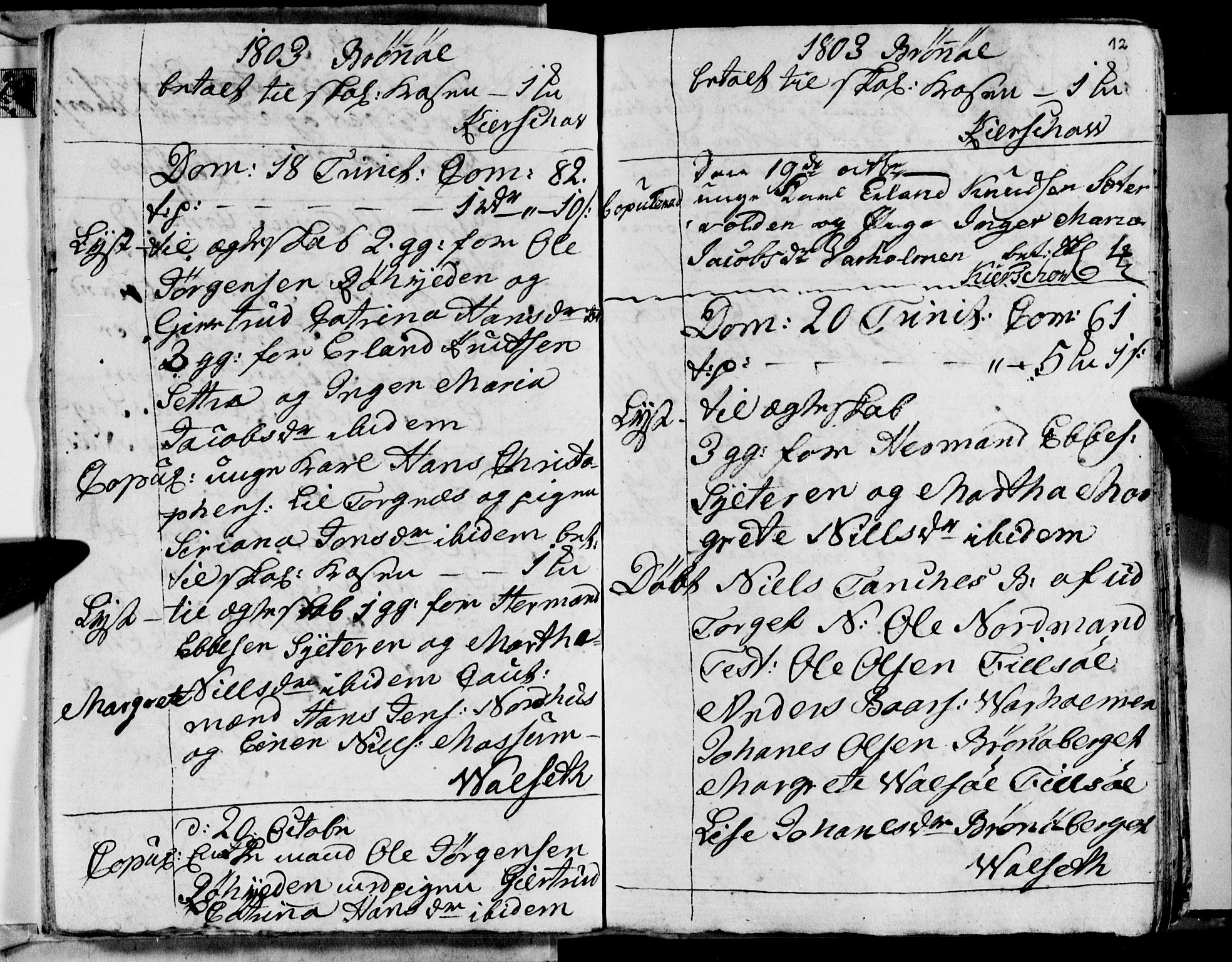 Ministerialprotokoller, klokkerbøker og fødselsregistre - Nordland, SAT/A-1459/813/L0209: Parish register (copy) no. 813C01, 1803-1821, p. 12