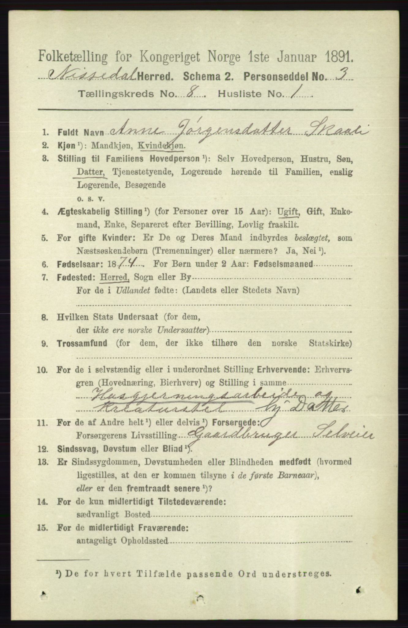 RA, 1891 census for 0830 Nissedal, 1891, p. 1666