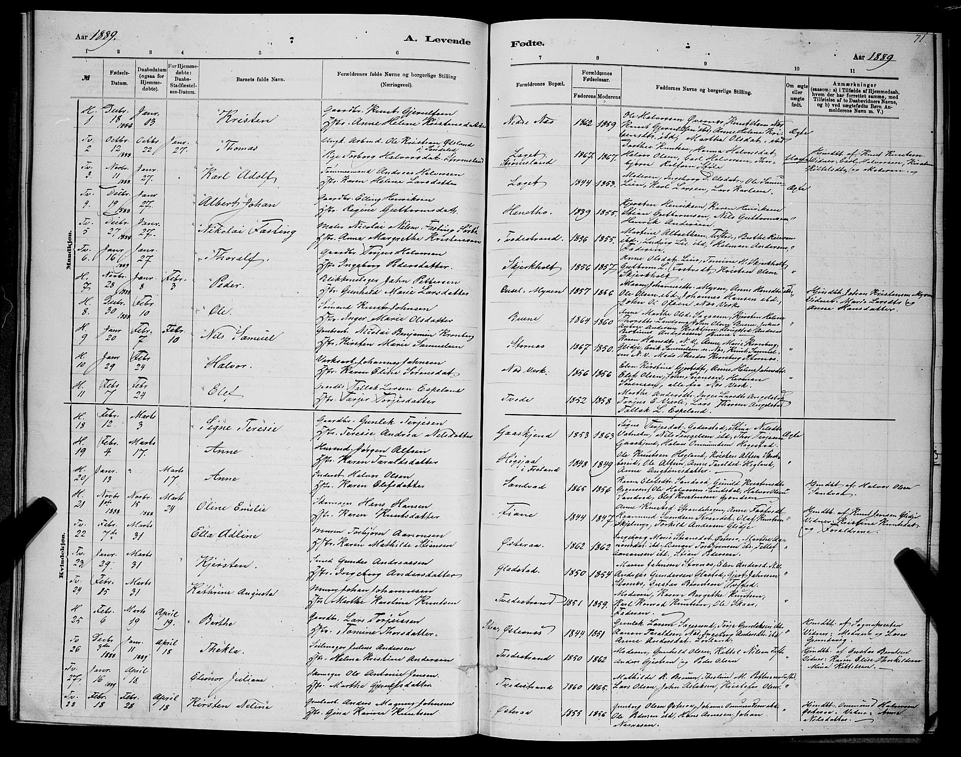 Holt sokneprestkontor, SAK/1111-0021/F/Fb/L0010: Parish register (copy) no. B 10, 1883-1896, p. 71
