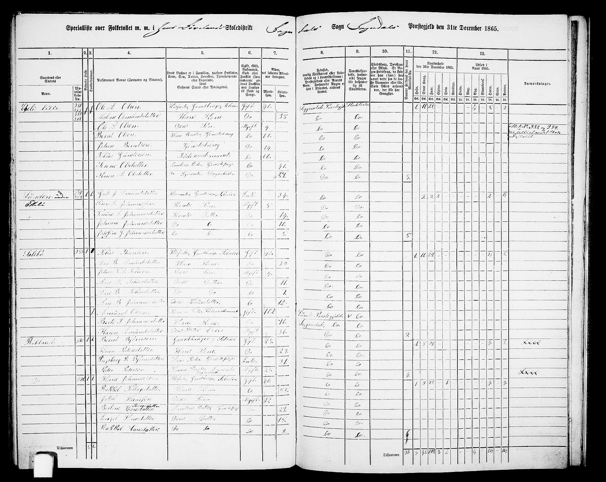 RA, 1865 census for Sokndal, 1865, p. 116