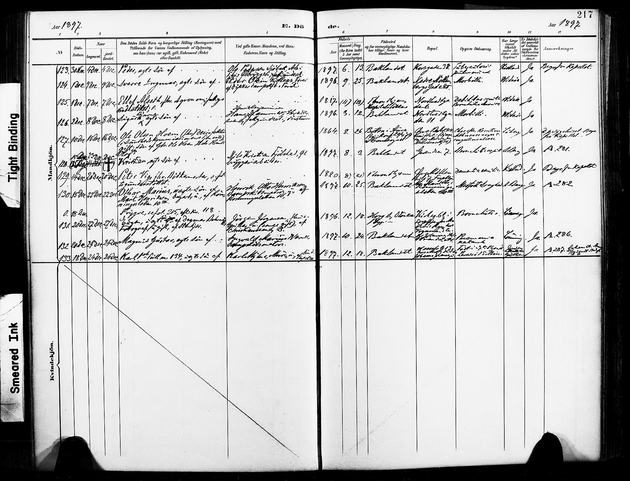 Ministerialprotokoller, klokkerbøker og fødselsregistre - Sør-Trøndelag, AV/SAT-A-1456/604/L0198: Parish register (official) no. 604A19, 1893-1900, p. 217