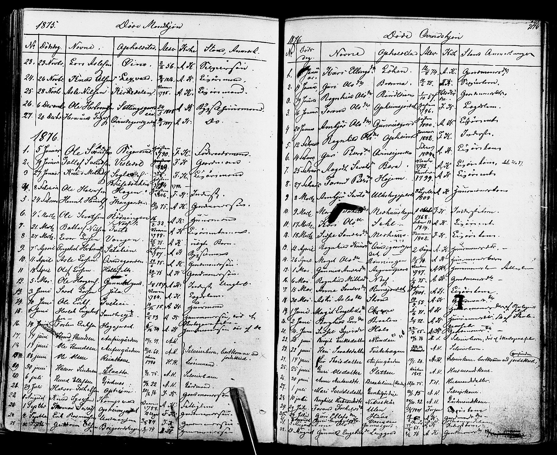 Ål kirkebøker, SAKO/A-249/F/Fa/L0007: Parish register (official) no. I 7, 1865-1881, p. 246