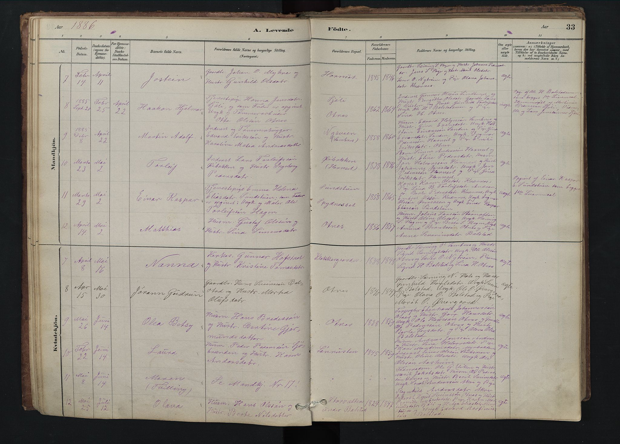 Rendalen prestekontor, SAH/PREST-054/H/Ha/Hab/L0009: Parish register (copy) no. 9, 1879-1902, p. 33