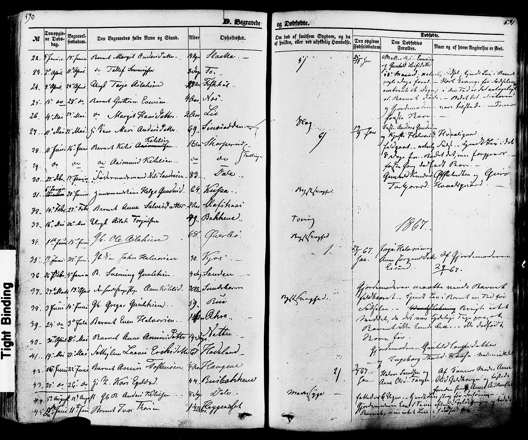 Seljord kirkebøker, SAKO/A-20/F/Fa/L0013: Parish register (official) no. I 13, 1866-1876, p. 590-591