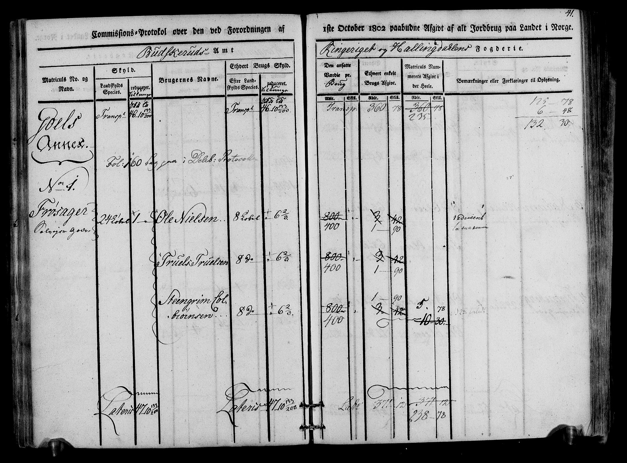 Rentekammeret inntil 1814, Realistisk ordnet avdeling, RA/EA-4070/N/Ne/Nea/L0047: Ringerike og Hallingdal fogderi. Kommisjonsprotokoll for Nes prestegjeld, 1803, p. 43