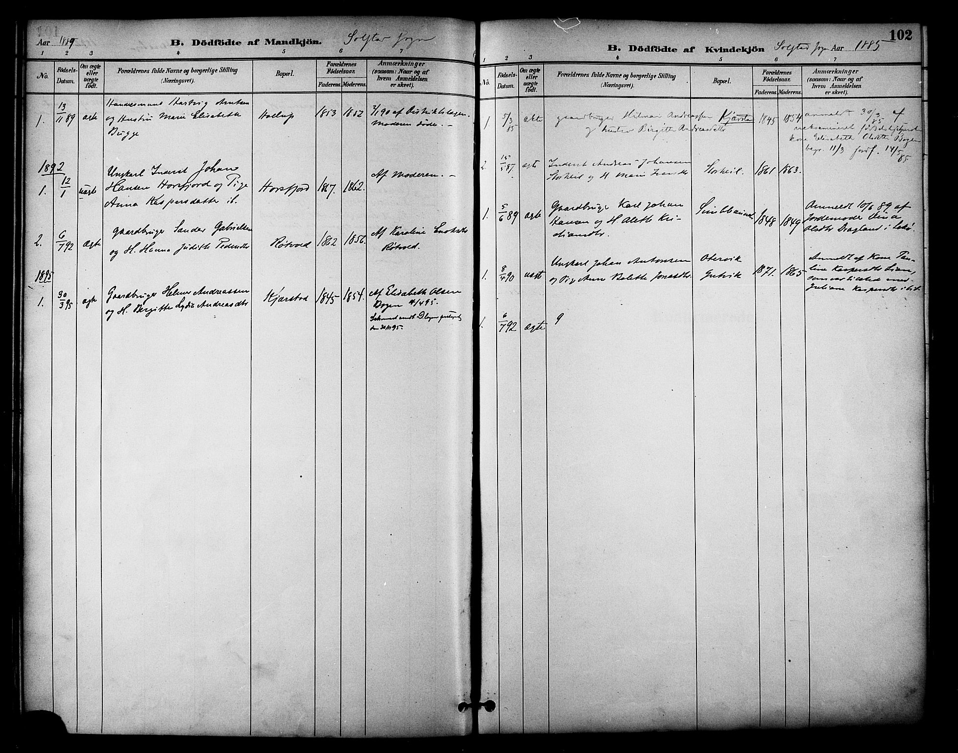 Ministerialprotokoller, klokkerbøker og fødselsregistre - Nordland, AV/SAT-A-1459/810/L0151: Parish register (official) no. 810A10 /2, 1885-1895, p. 102