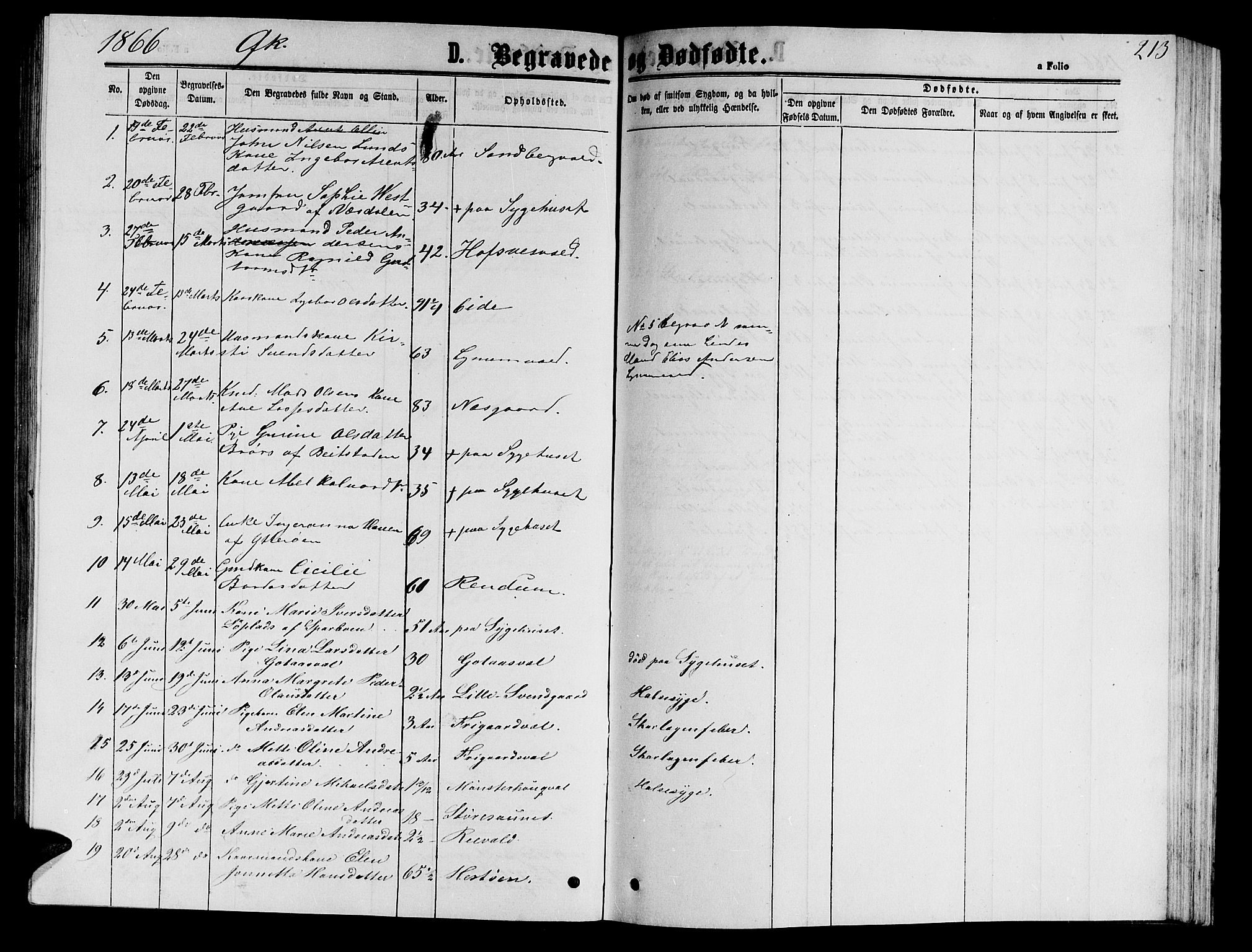 Ministerialprotokoller, klokkerbøker og fødselsregistre - Nord-Trøndelag, SAT/A-1458/717/L0170: Parish register (copy) no. 717C02, 1866-1866, p. 213