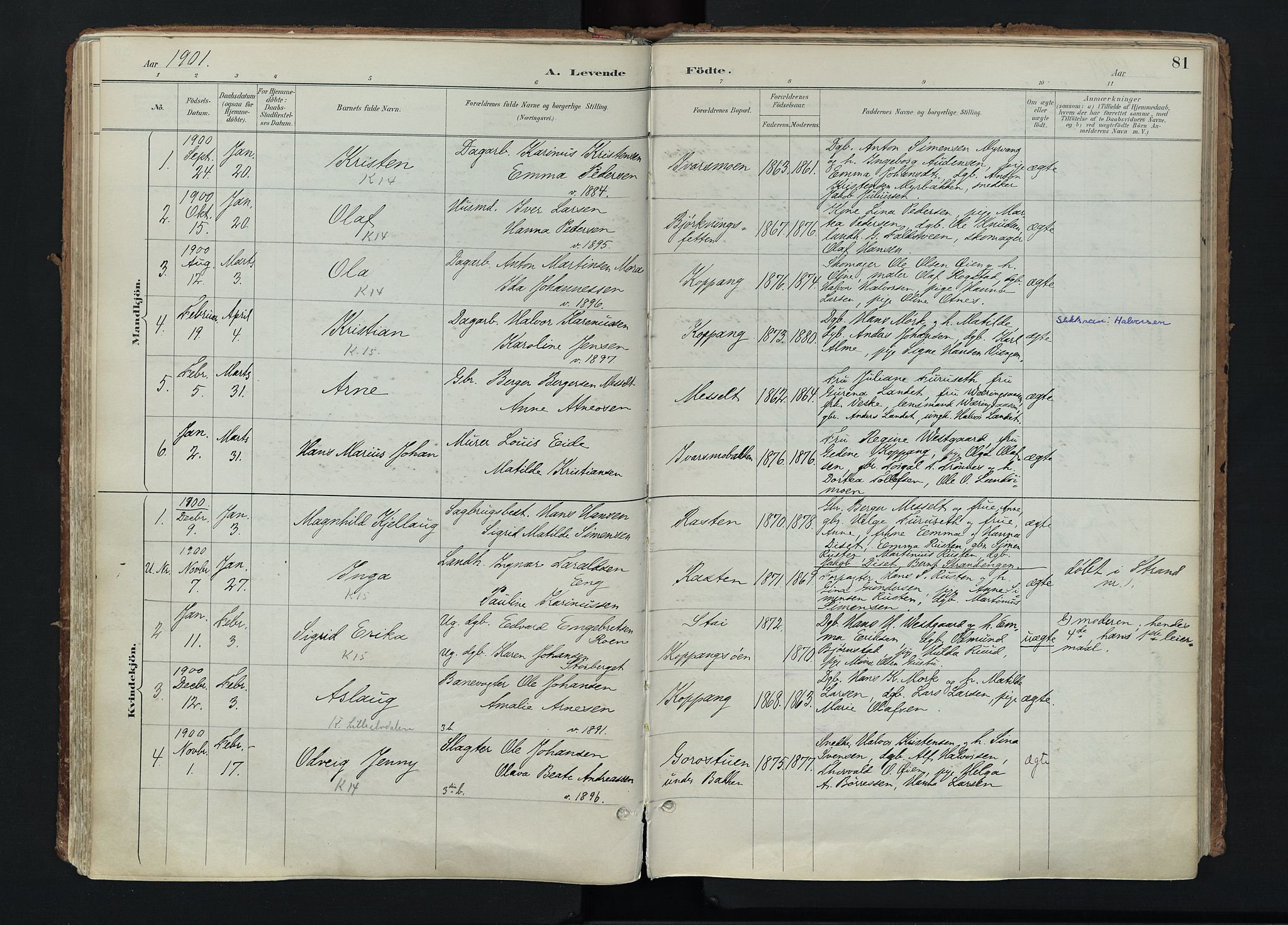 Stor-Elvdal prestekontor, SAH/PREST-052/H/Ha/Haa/L0004: Parish register (official) no. 4, 1890-1922, p. 81